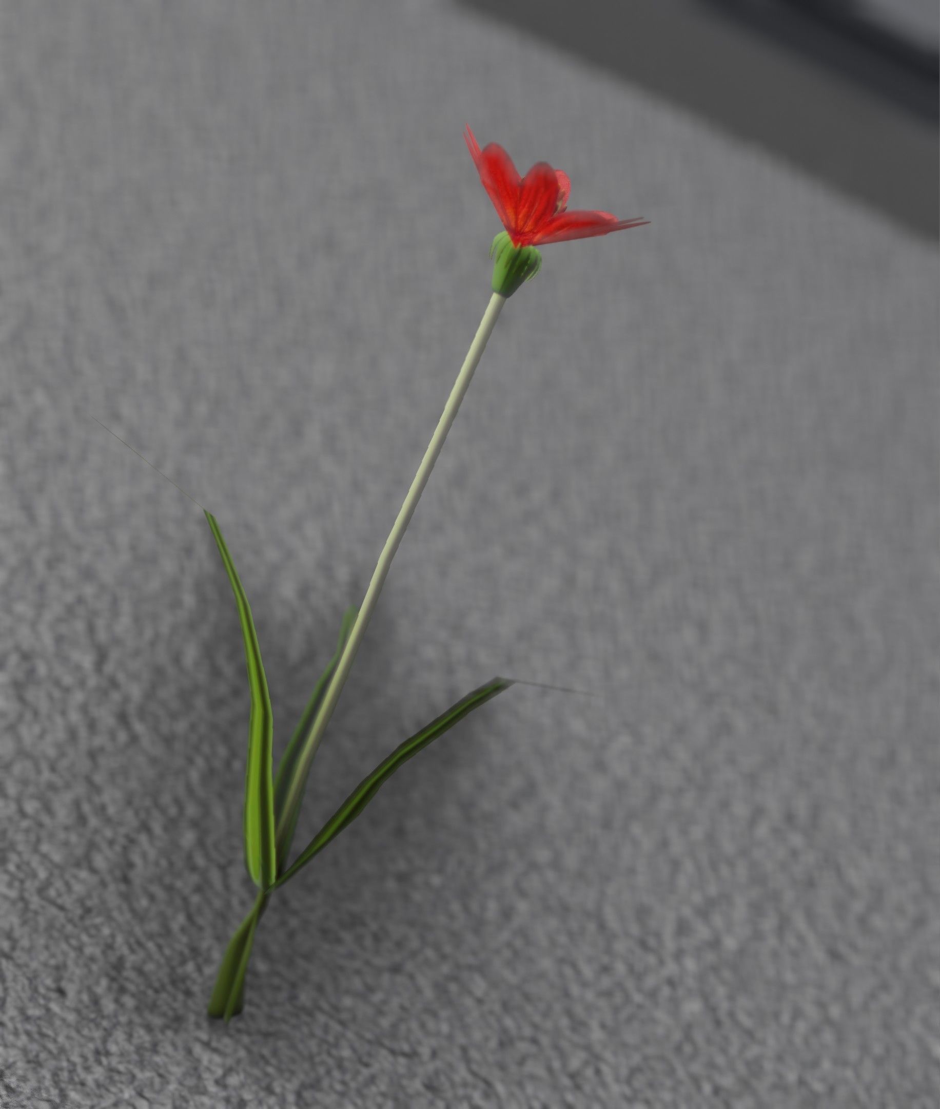 Red Flower - Verion 5 - Object 28 Low-poly 3D model_29