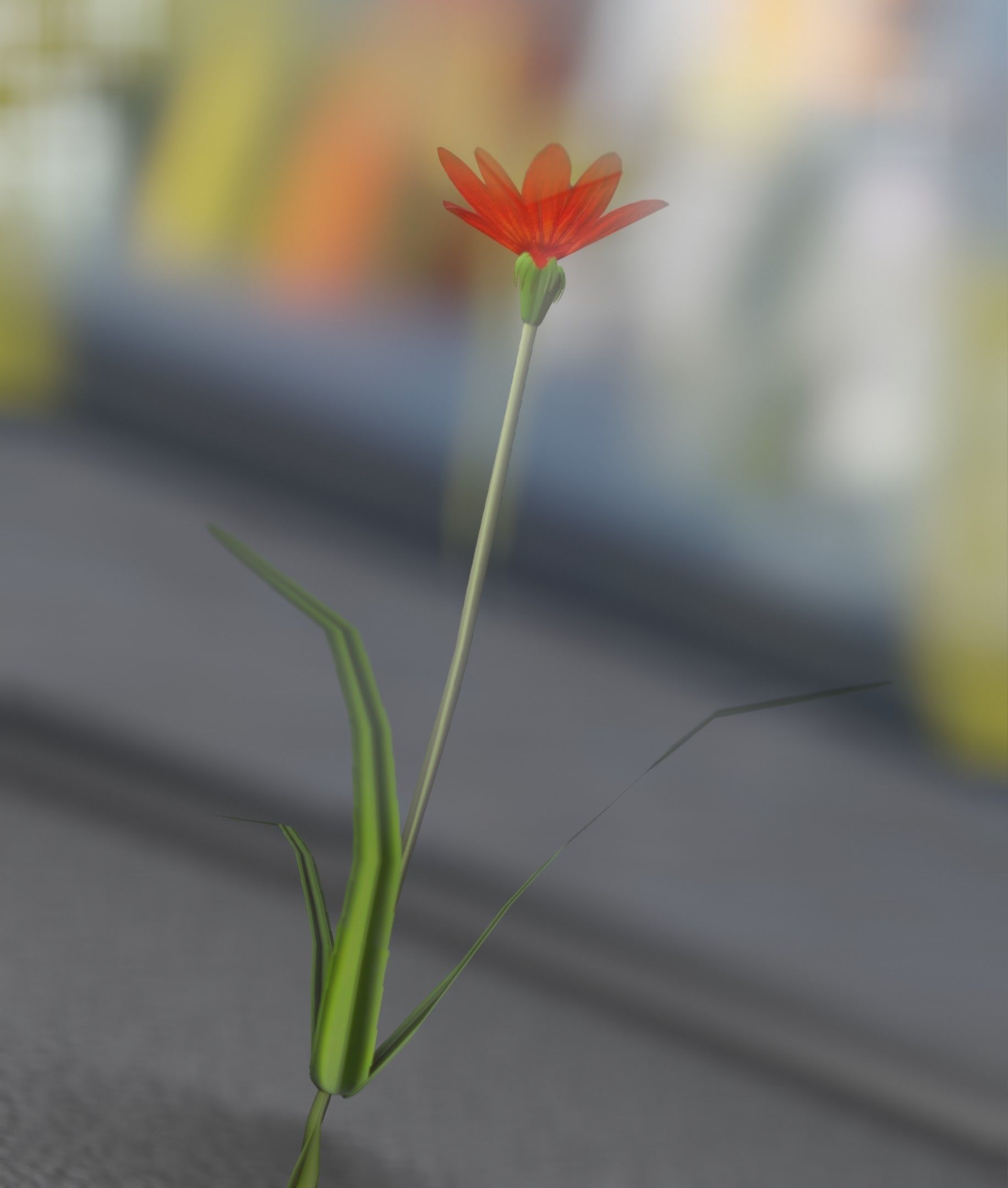 Red Flower - Verion 5 - Object 28 Low-poly 3D model_16