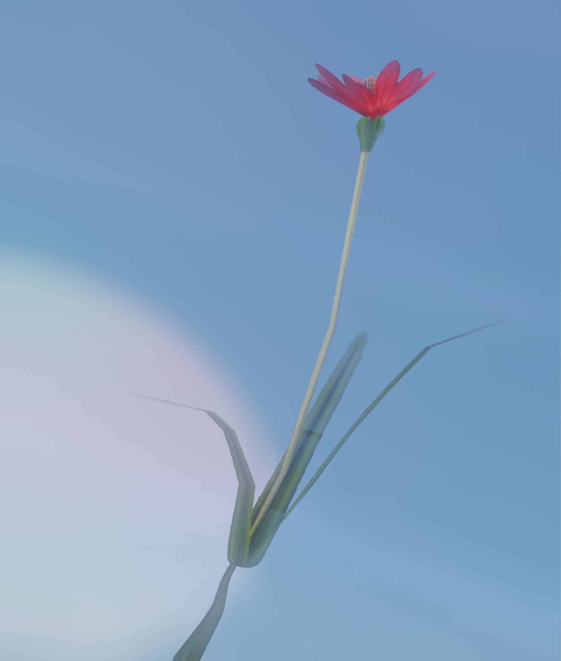 Red Flower - Verion 5 - Object 28 Low-poly 3D model_5