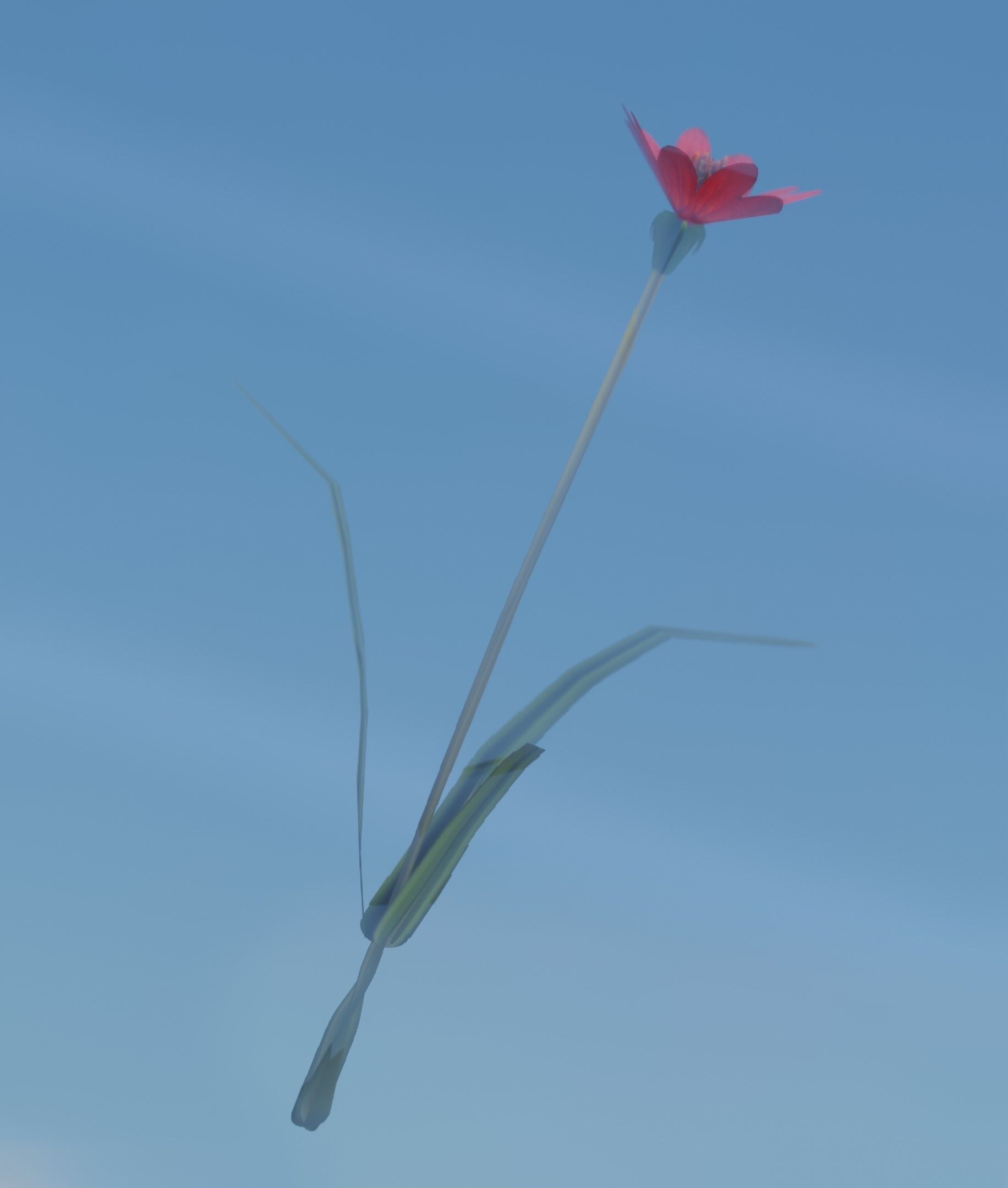 Red Flower - Verion 5 - Object 28 Low-poly 3D model_11