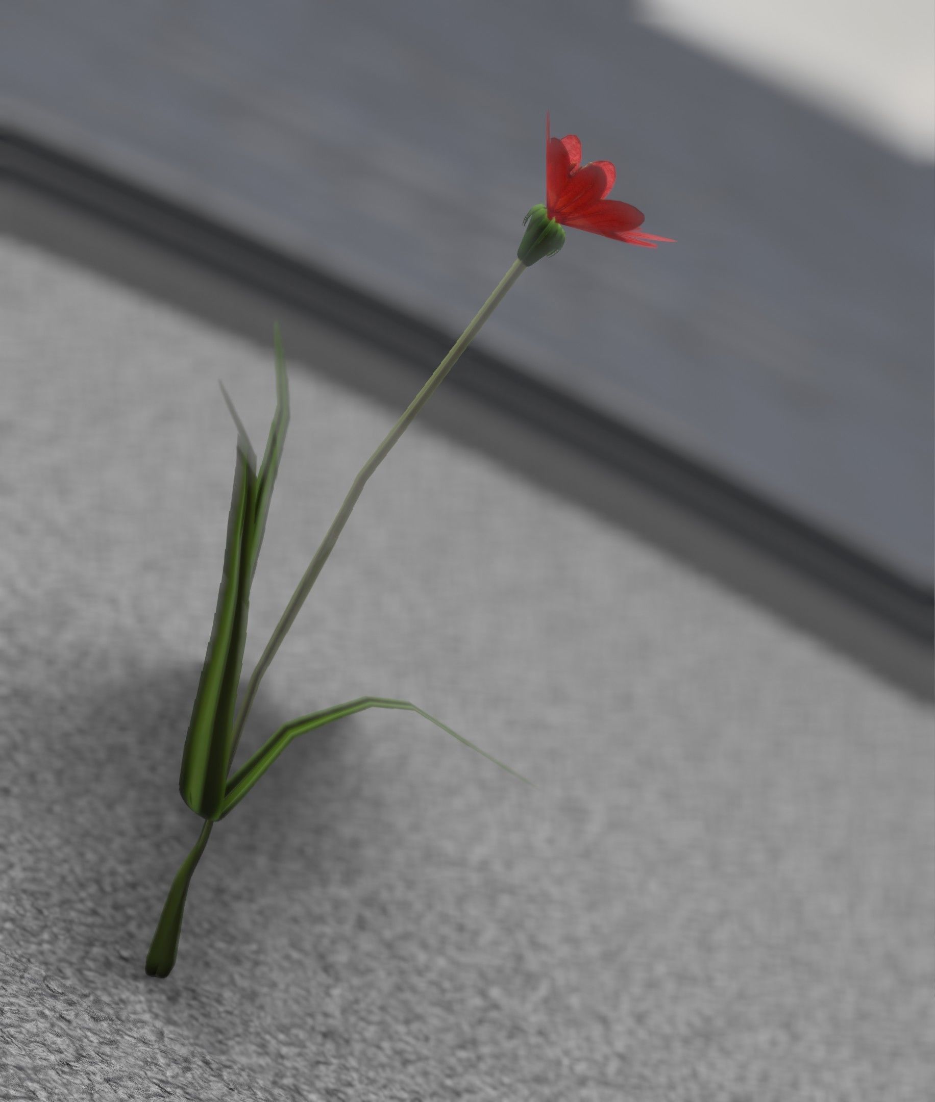 Red Flower - Verion 5 - Object 28 Low-poly 3D model_32