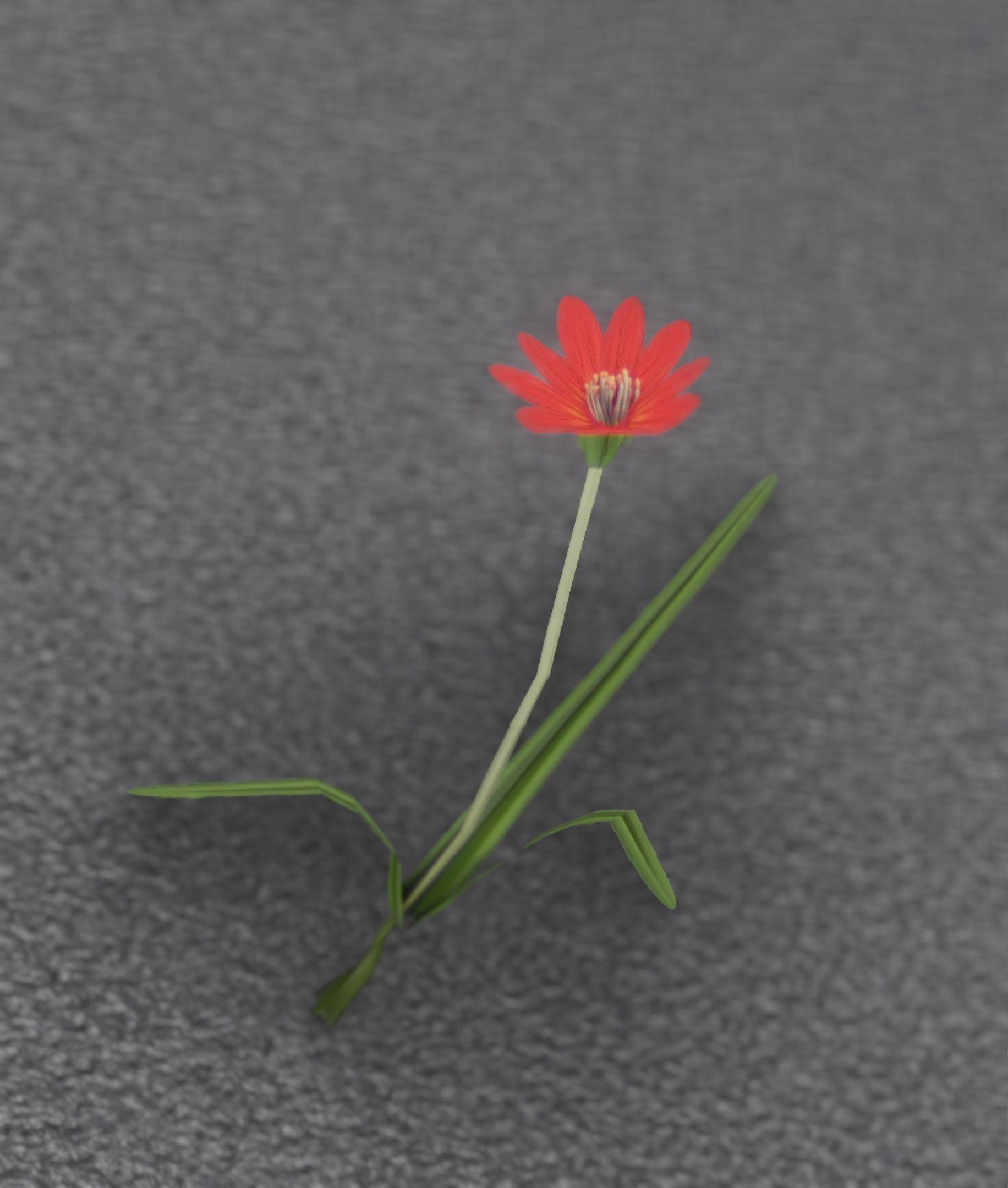 Red Flower - Verion 5 - Object 28 Low-poly 3D model_25