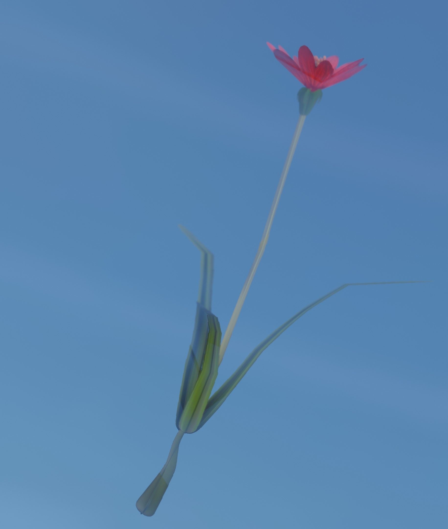 Red Flower - Verion 5 - Object 28 Low-poly 3D model_12