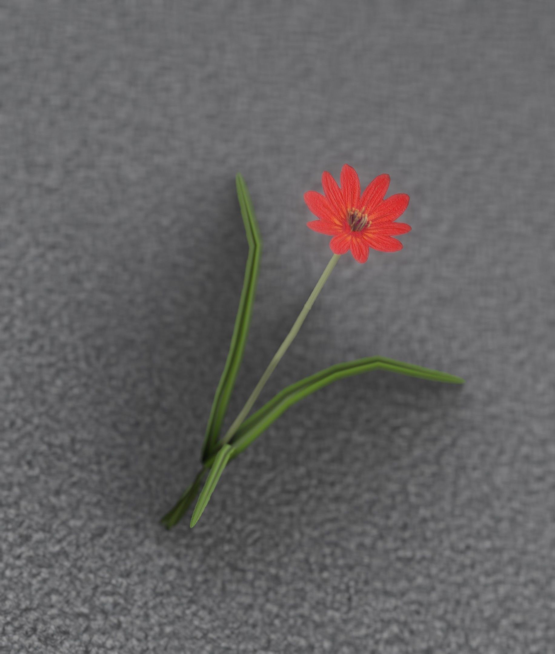Red Flower - Verion 5 - Object 28 Low-poly 3D model_23