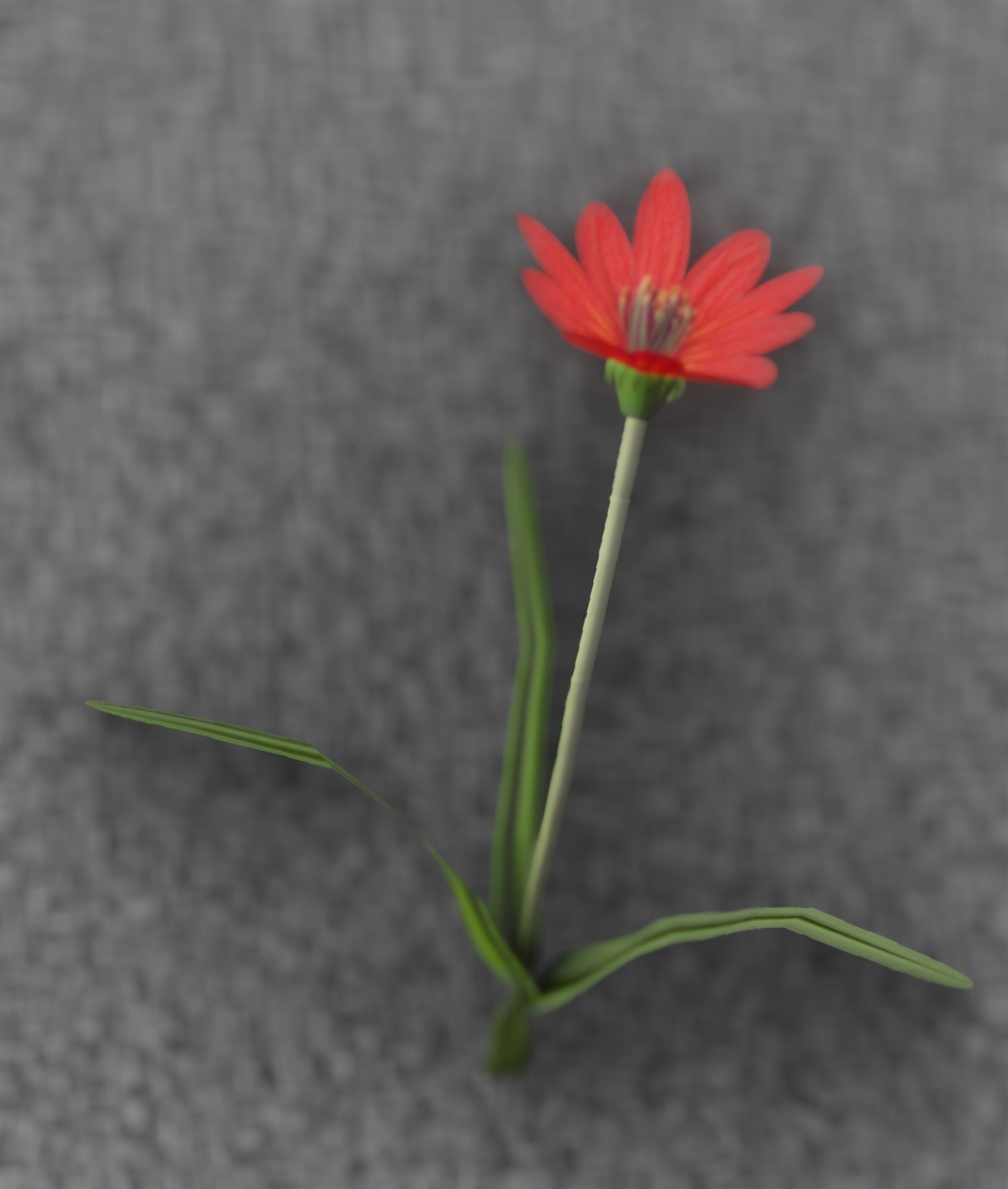 Red Flower - Verion 5 - Object 28 Low-poly 3D model_46