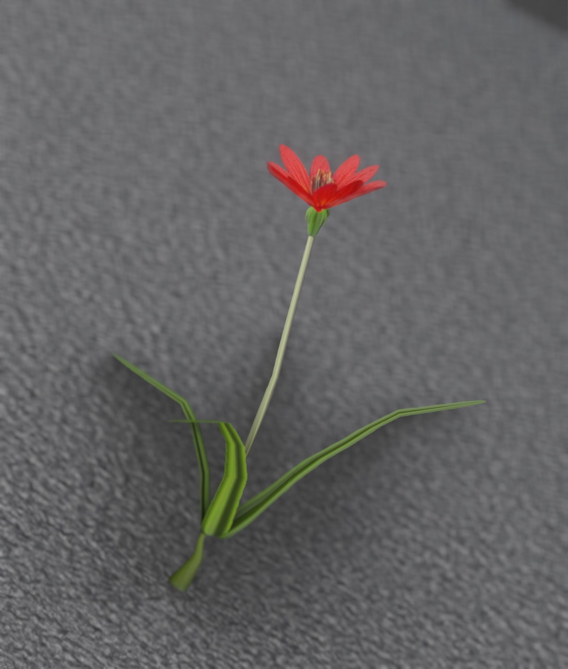 Red Flower - Verion 5 - Object 28 Low-poly 3D model_27
