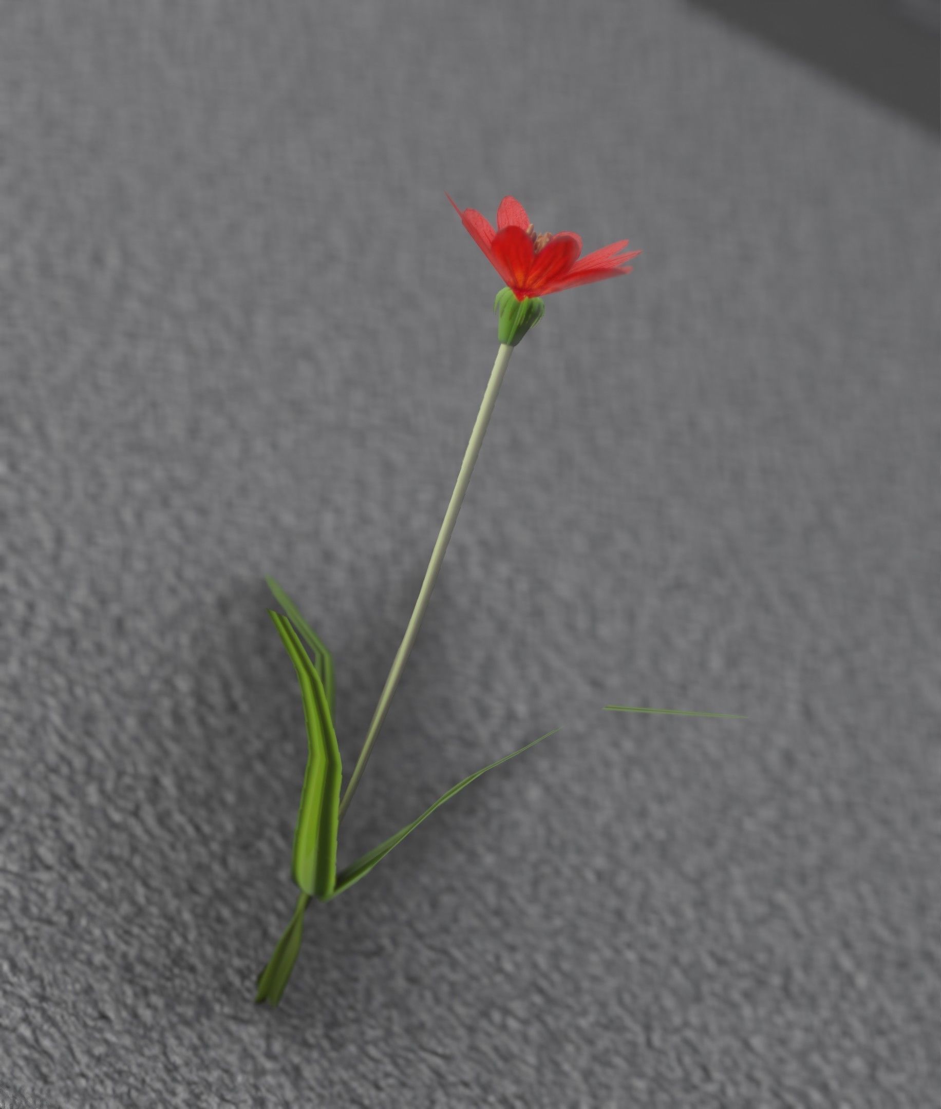 Red Flower - Verion 5 - Object 28 Low-poly 3D model_28