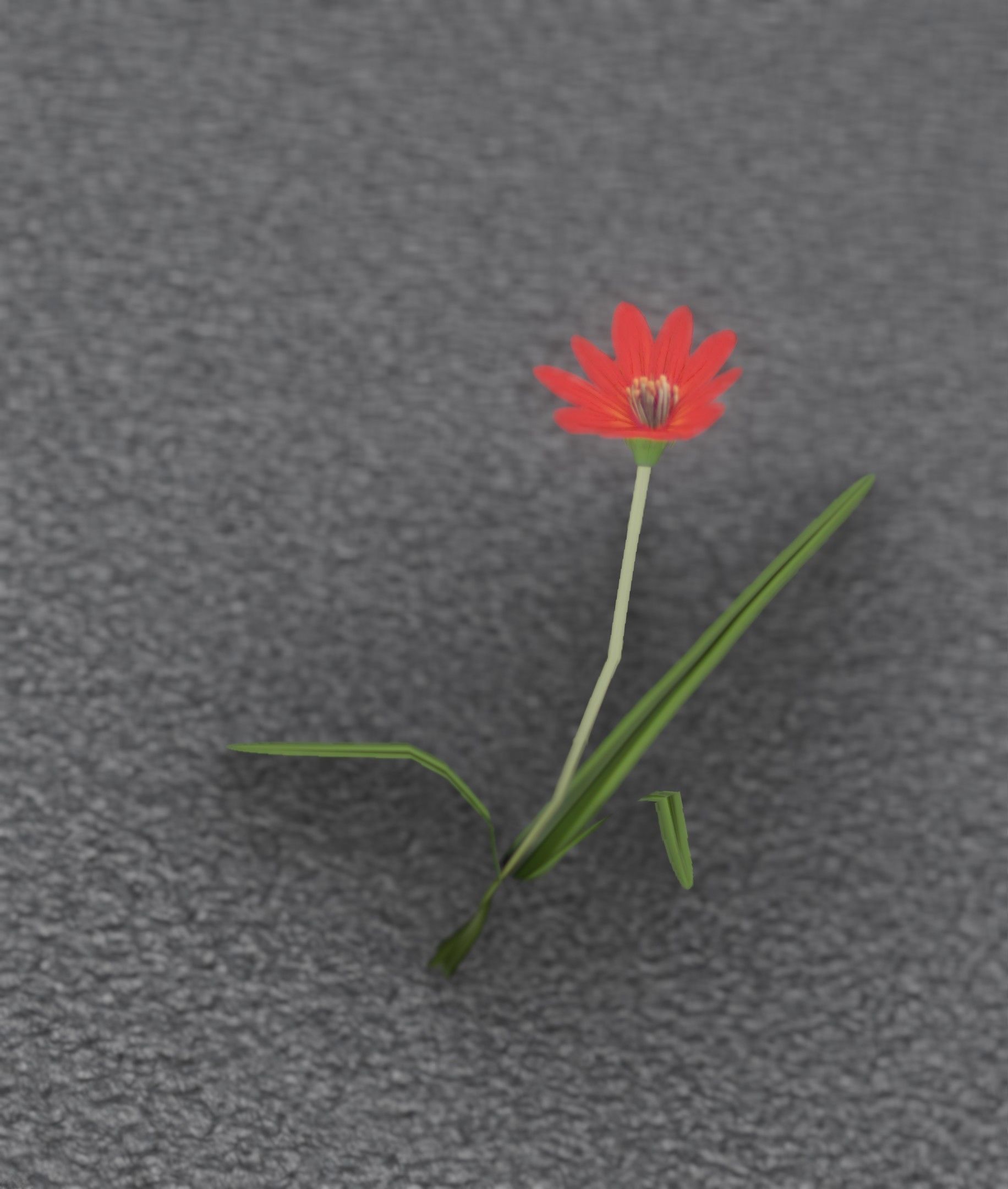 Red Flower - Verion 5 - Object 28 Low-poly 3D model_41