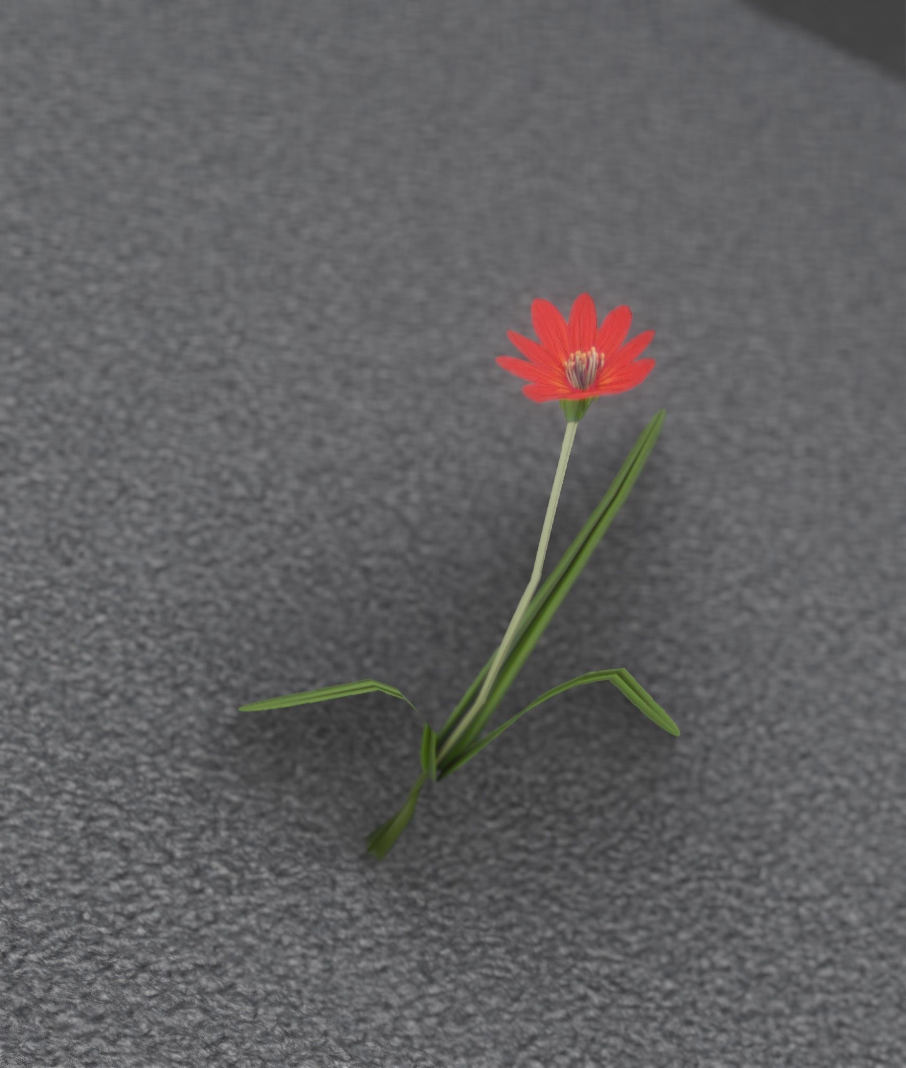 Red Flower - Verion 5 - Object 28 Low-poly 3D model_40