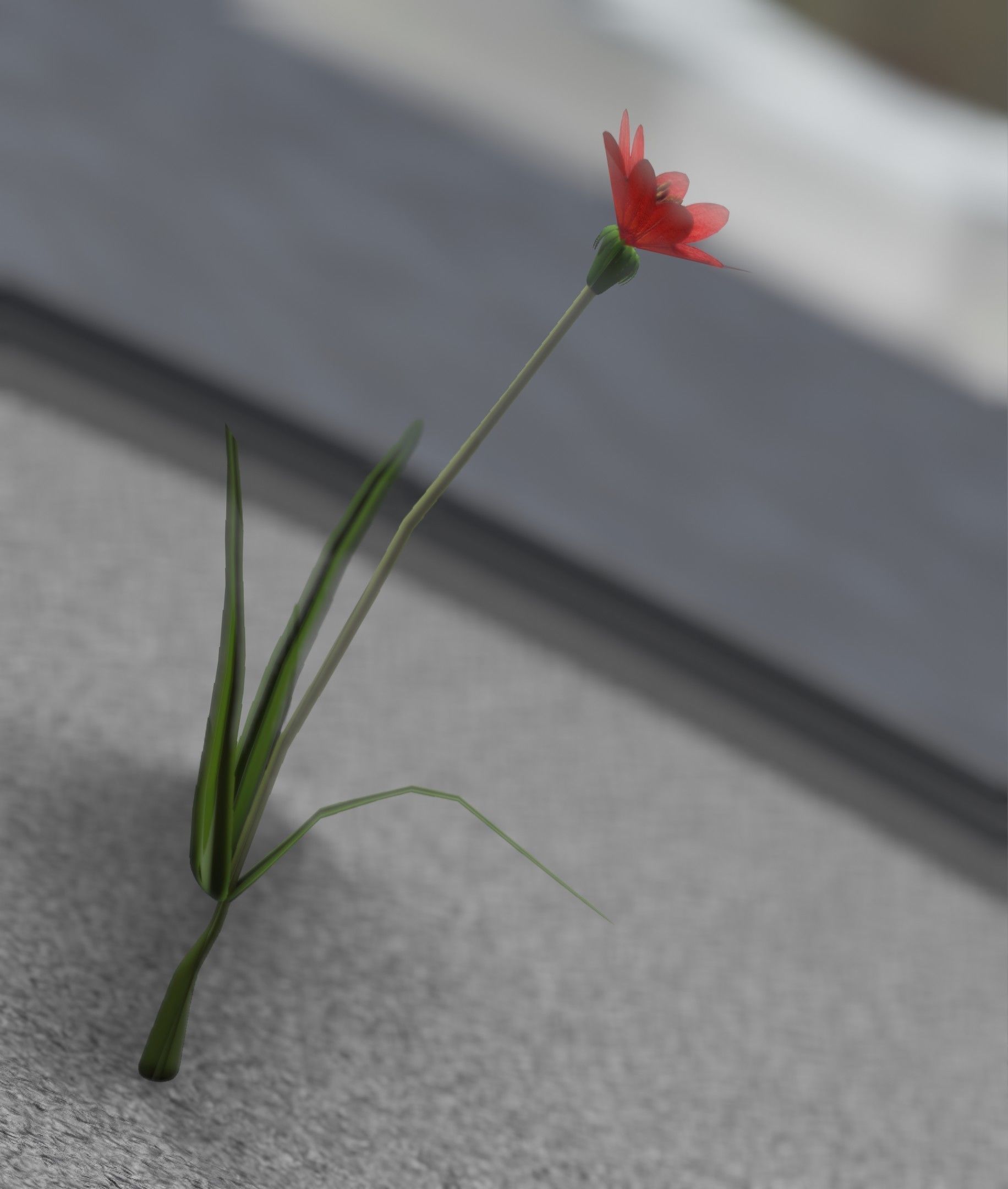 Red Flower - Verion 5 - Object 28 Low-poly 3D model_33