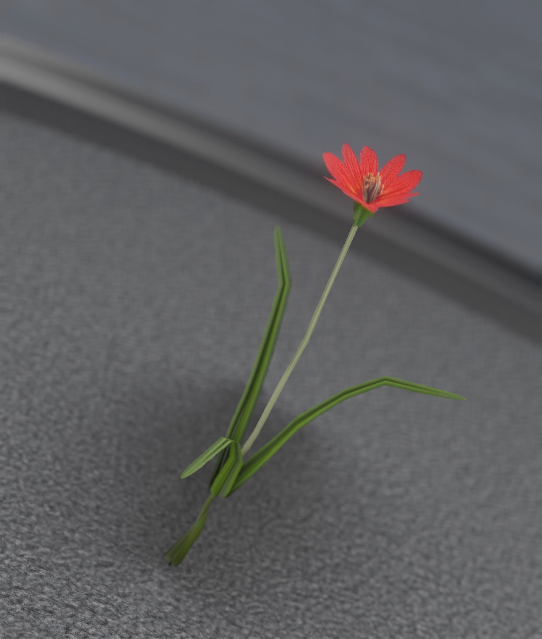 Red Flower - Verion 5 - Object 28 Low-poly 3D model_38