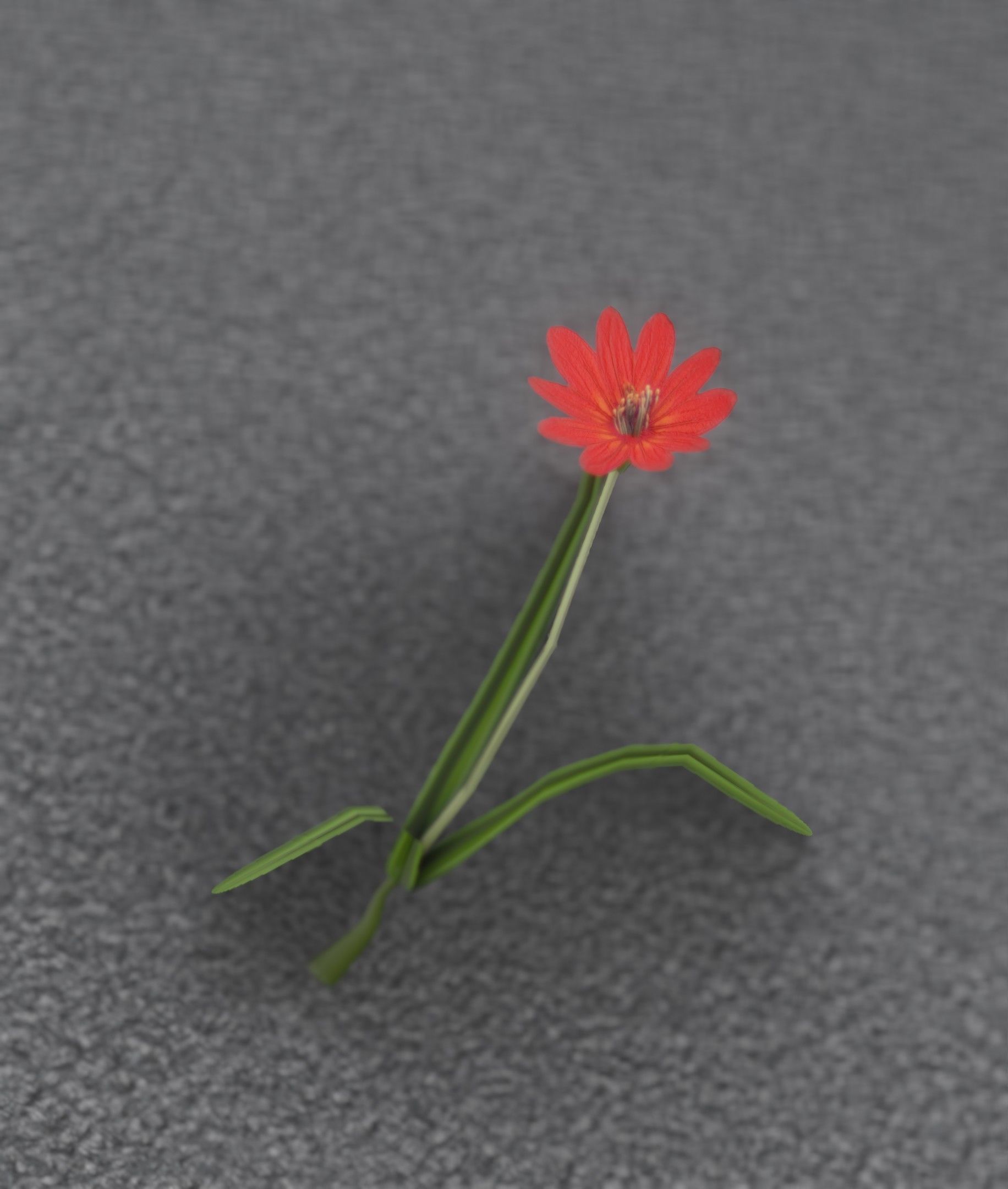 Red Flower - Verion 5 - Object 28 Low-poly 3D model_24