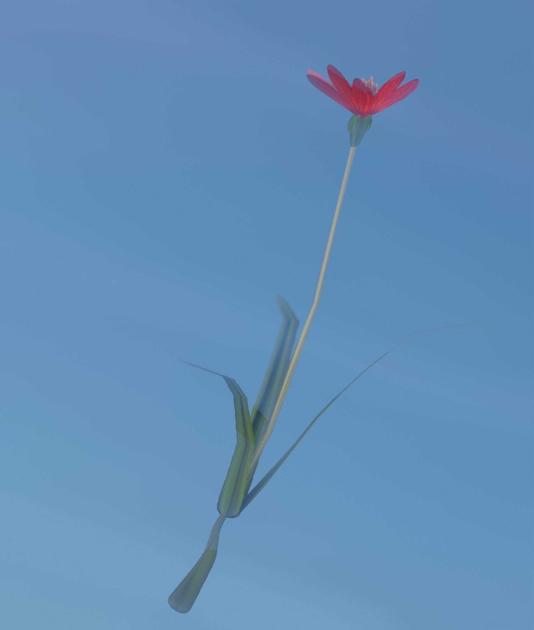 Red Flower - Verion 5 - Object 28 Low-poly 3D model_13
