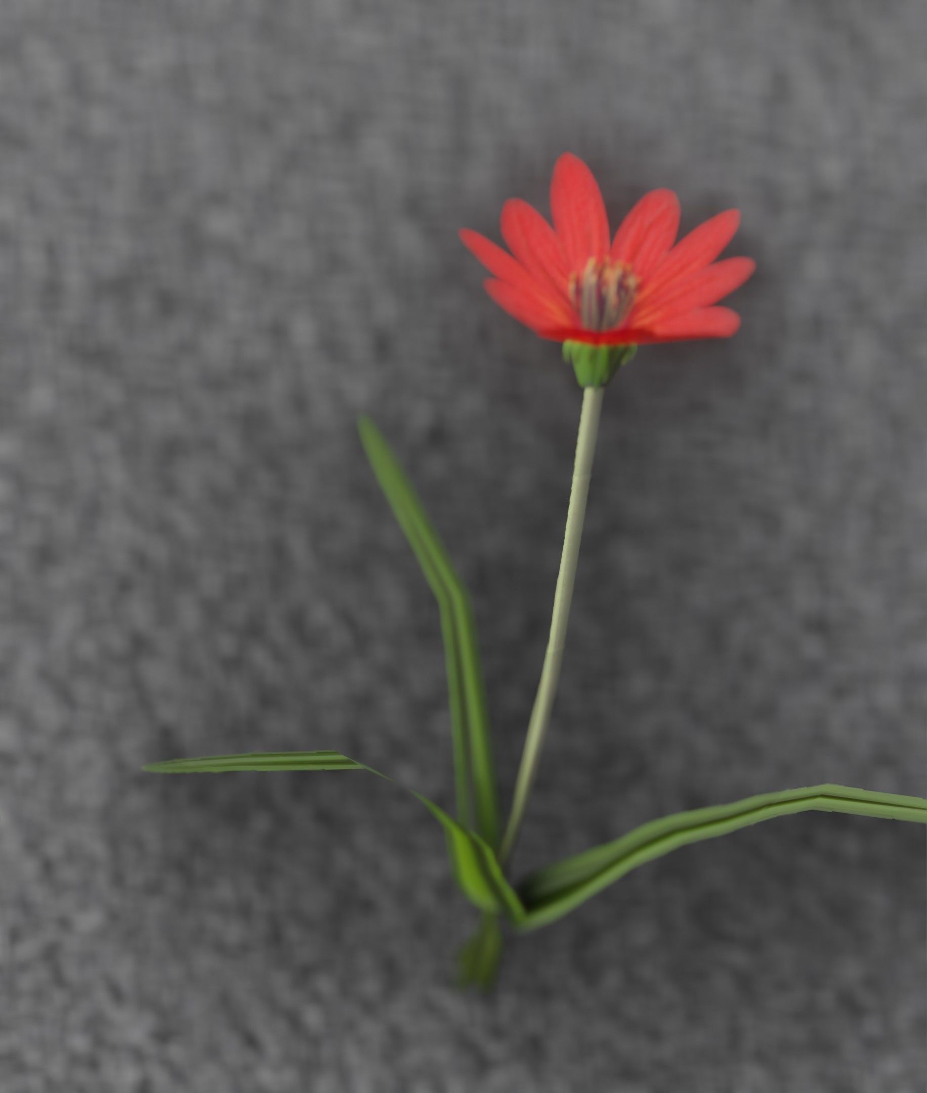 Red Flower - Verion 5 - Object 28 Low-poly 3D model_45