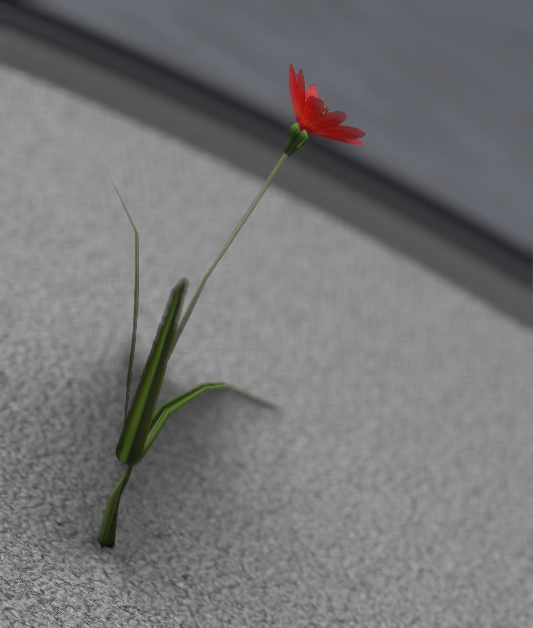 Red Flower - Verion 5 - Object 28 Low-poly 3D model_31