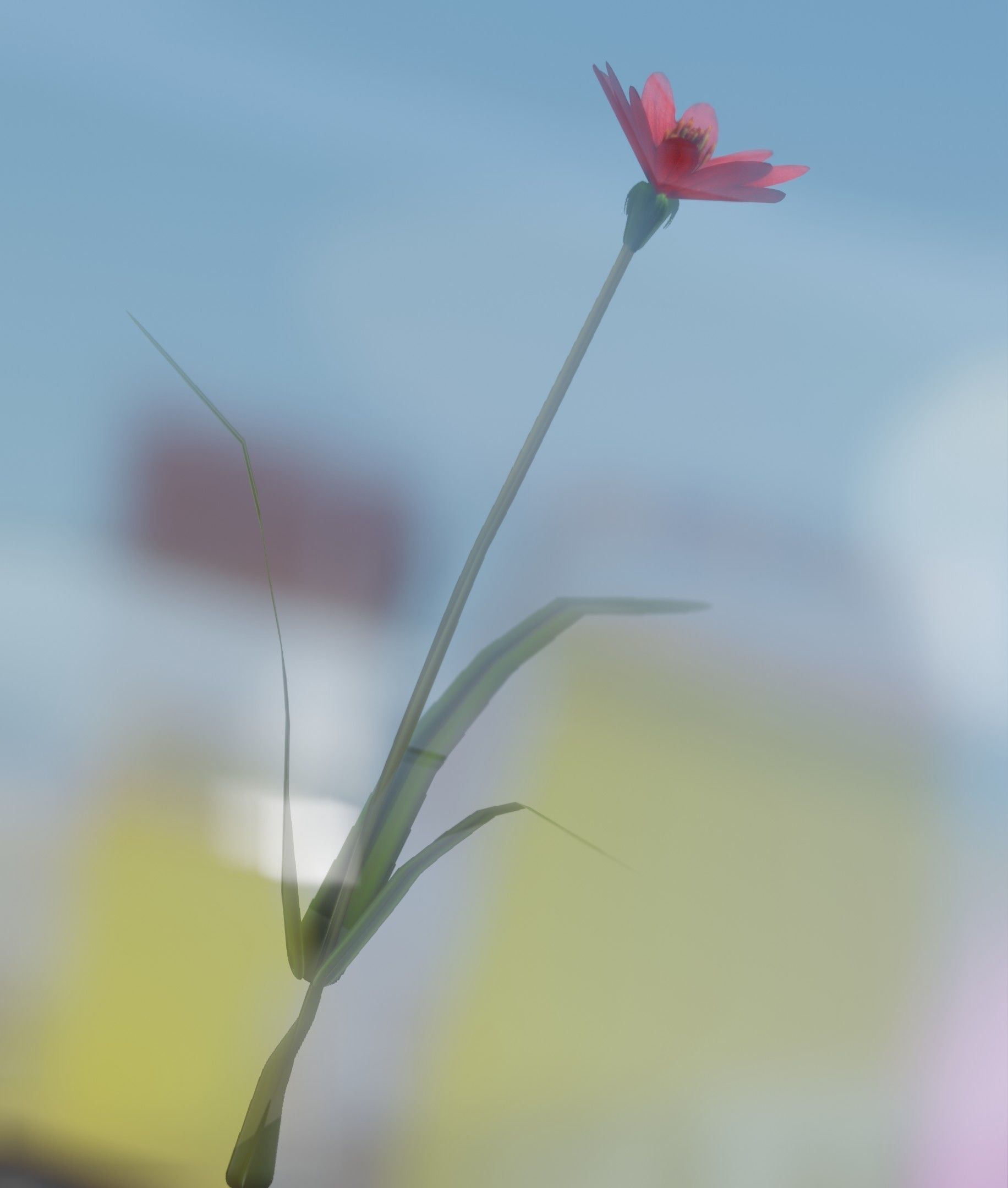 Red Flower - Verion 5 - Object 28 Low-poly 3D model_4