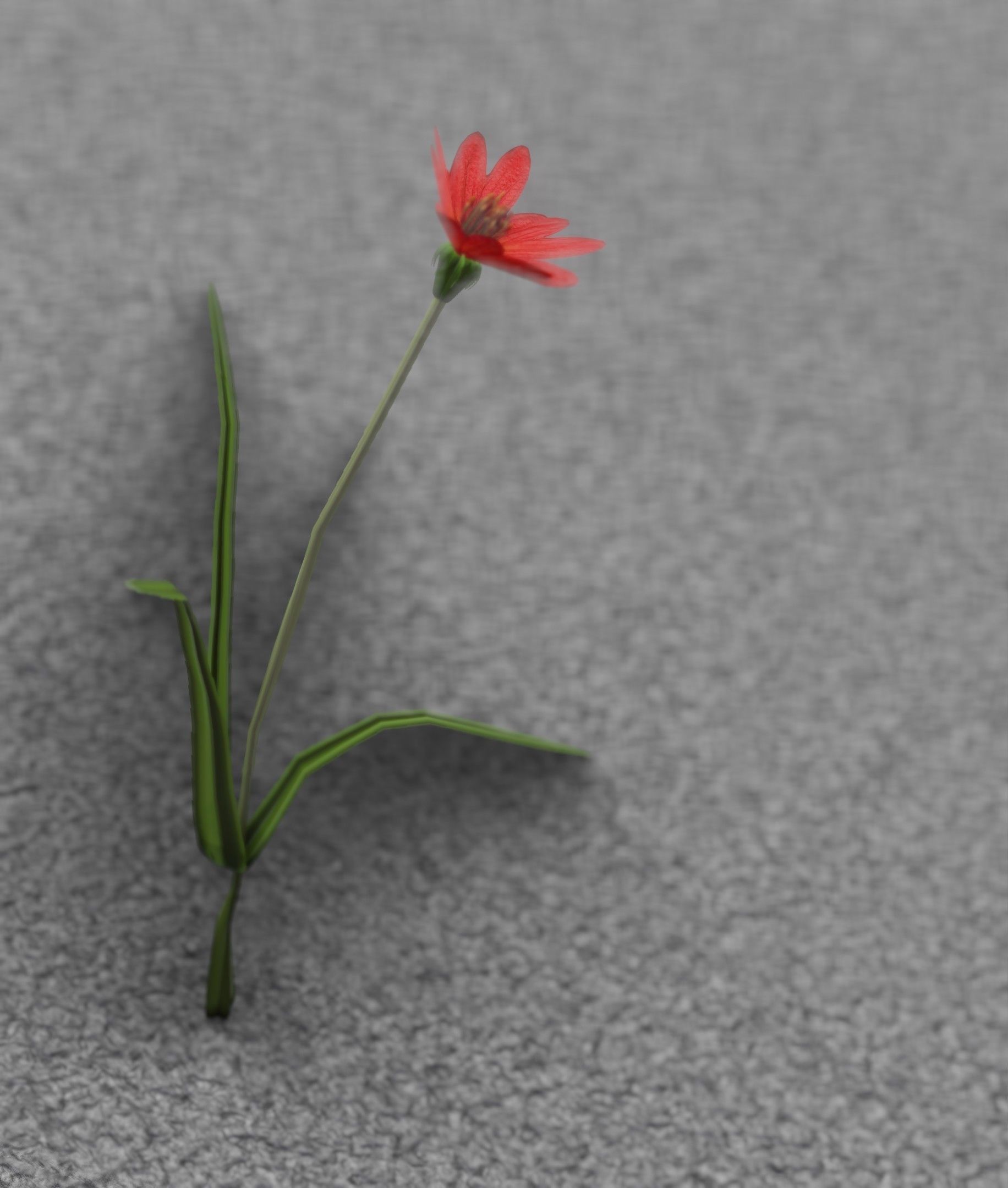 Red Flower - Verion 5 - Object 28 Low-poly 3D model_7