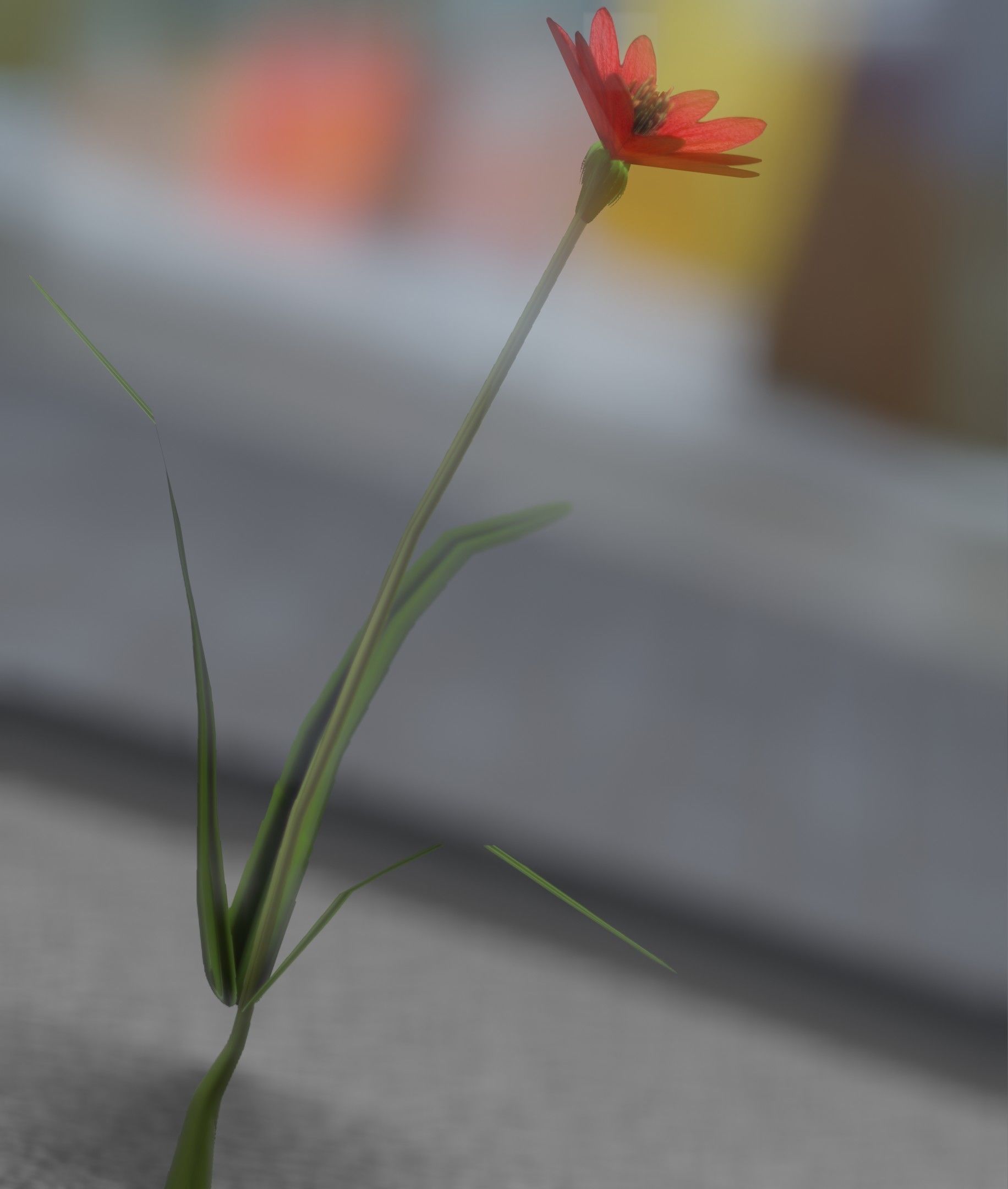 Red Flower - Verion 5 - Object 28 Low-poly 3D model_10