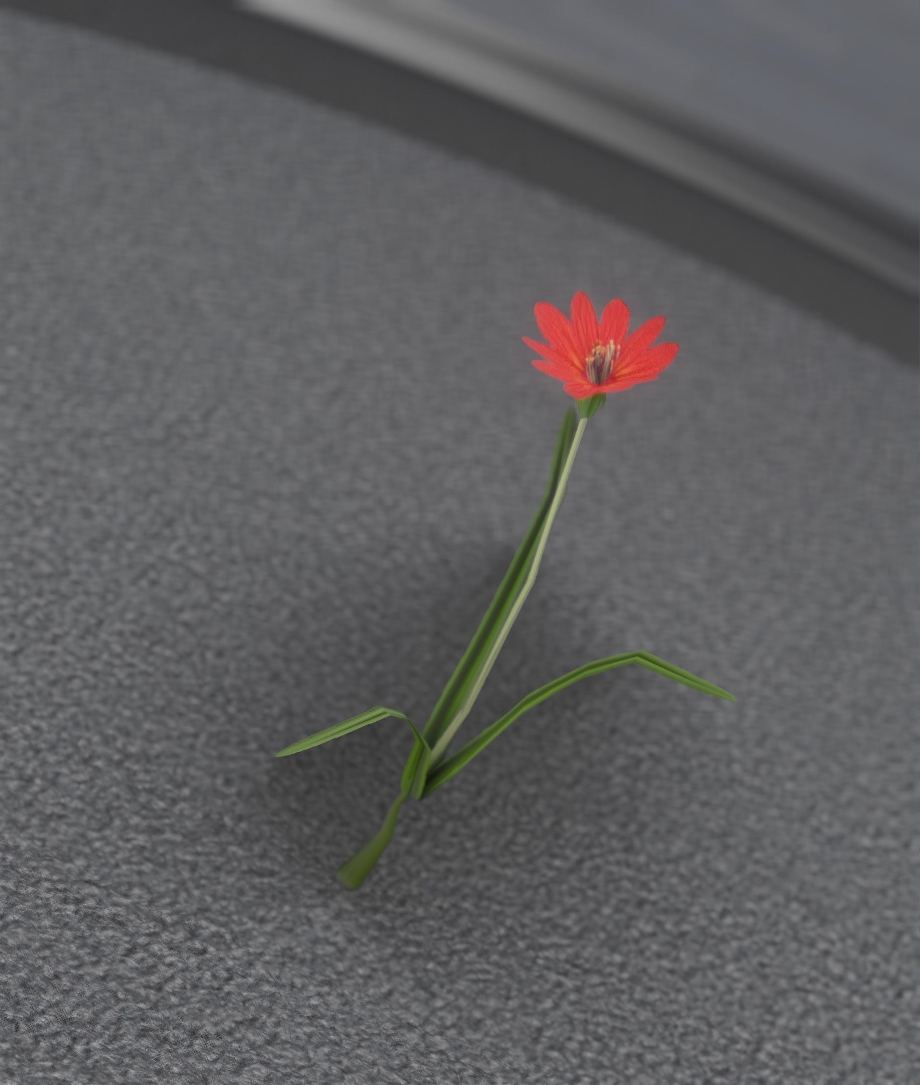 Red Flower - Verion 5 - Object 28 Low-poly 3D model_39