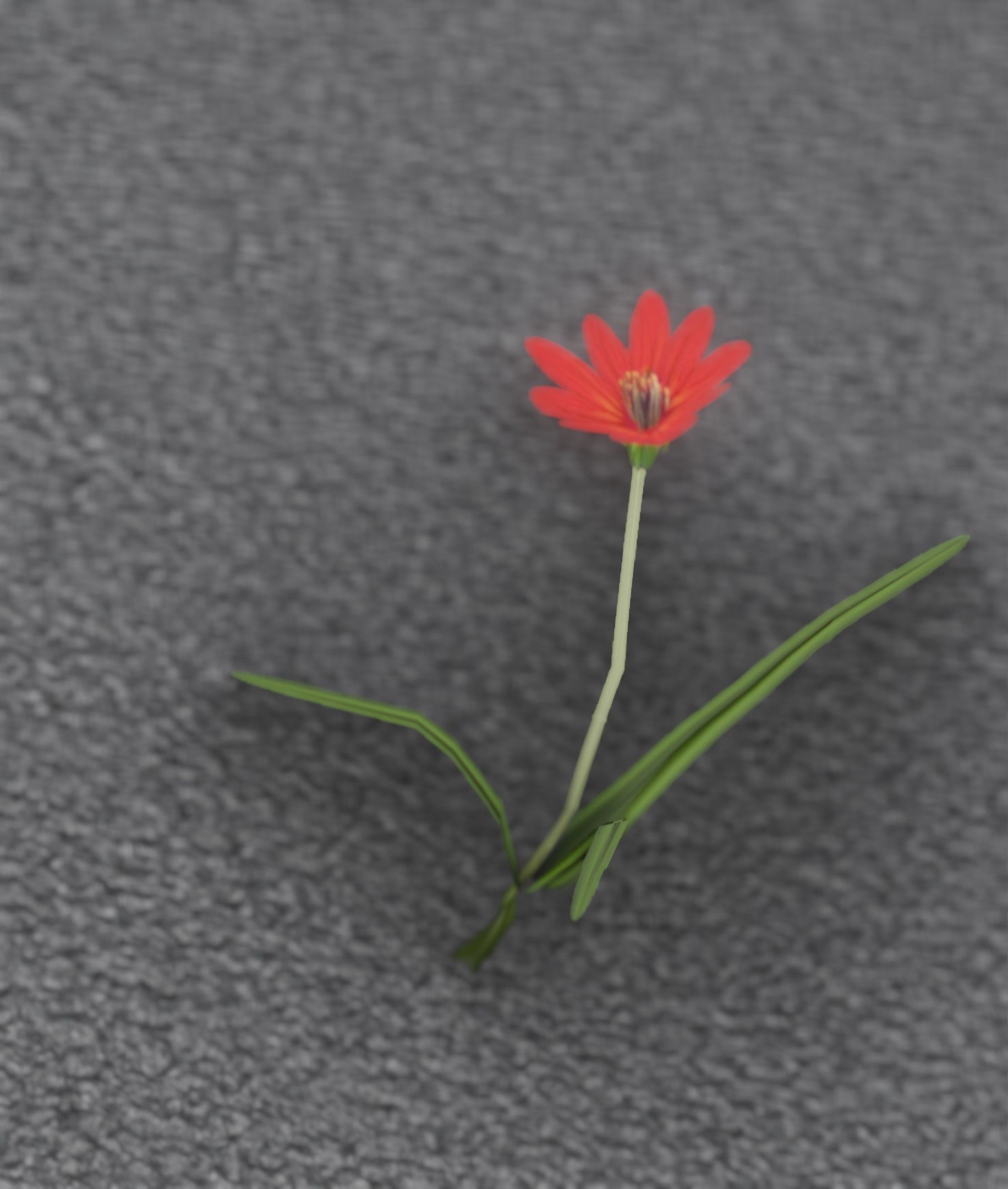 Red Flower - Verion 5 - Object 28 Low-poly 3D model_42