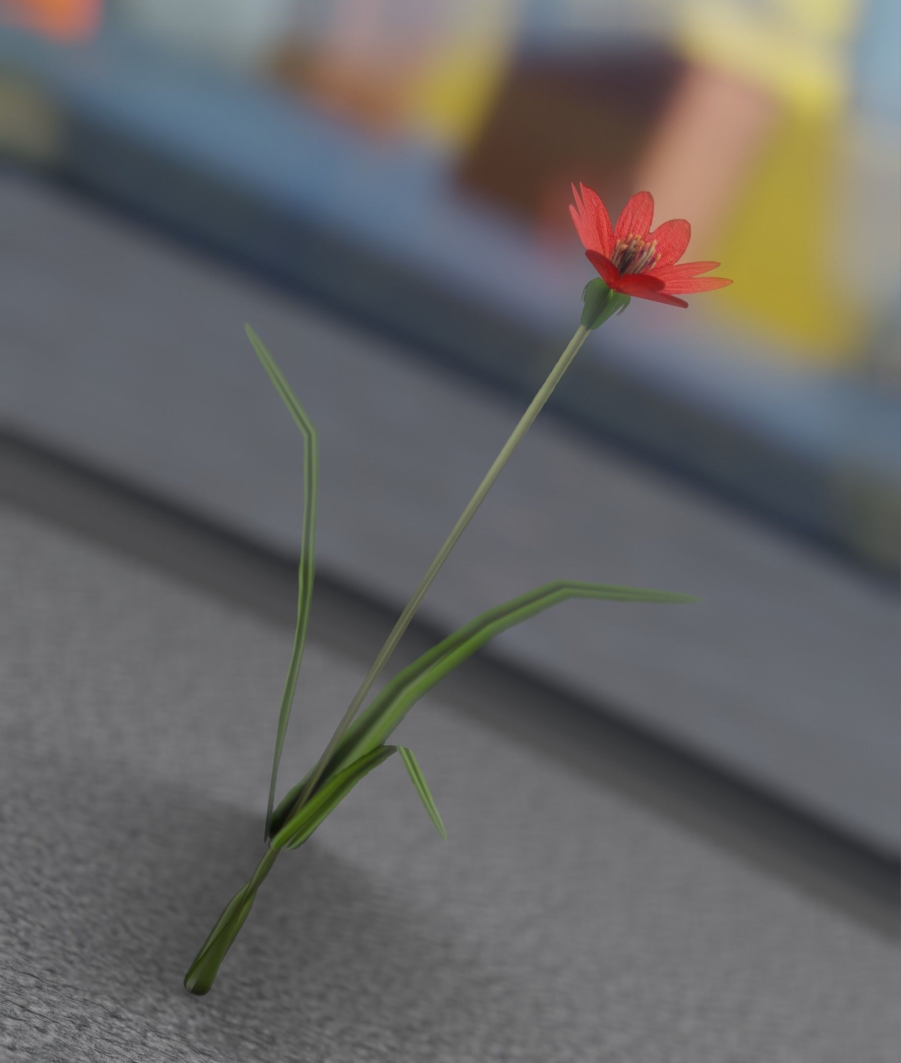 Red Flower - Verion 5 - Object 28 Low-poly 3D model_36