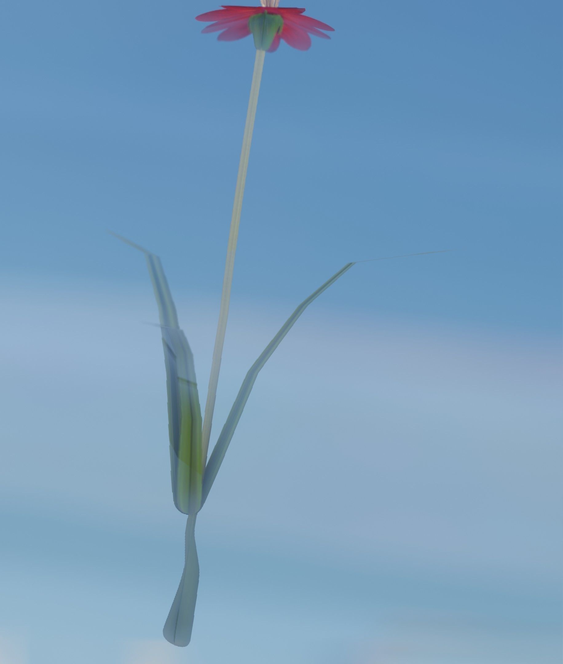 Red Flower - Verion 6 - Object 29 Low-poly 3D model_38