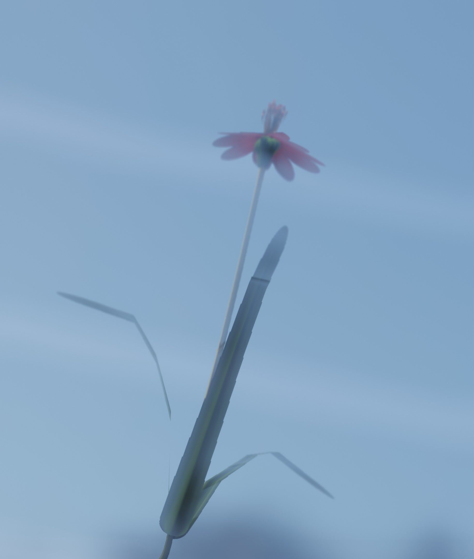 Red Flower - Verion 6 - Object 29 Low-poly 3D model_31