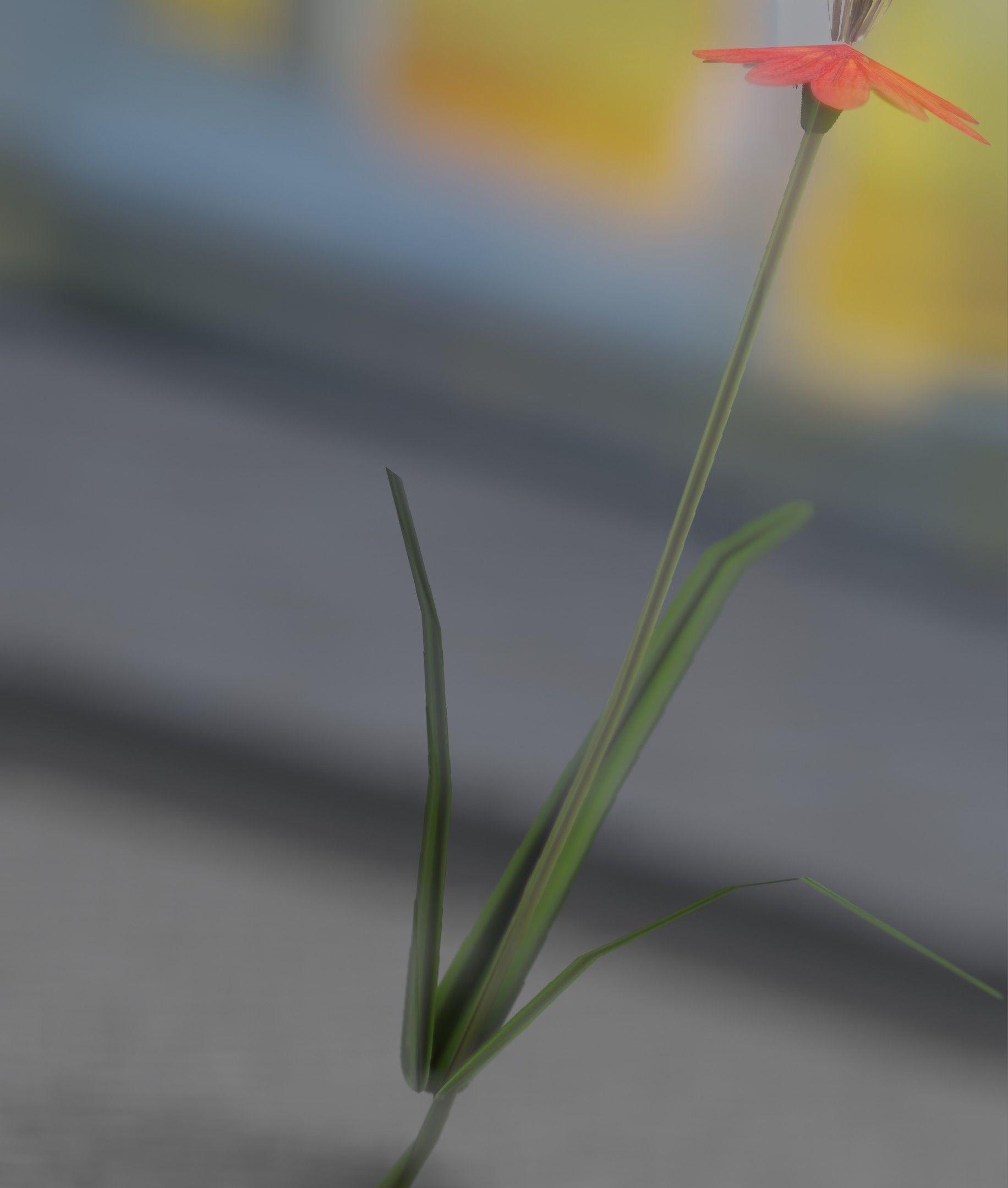 Red Flower - Verion 6 - Object 29 Low-poly 3D model_7