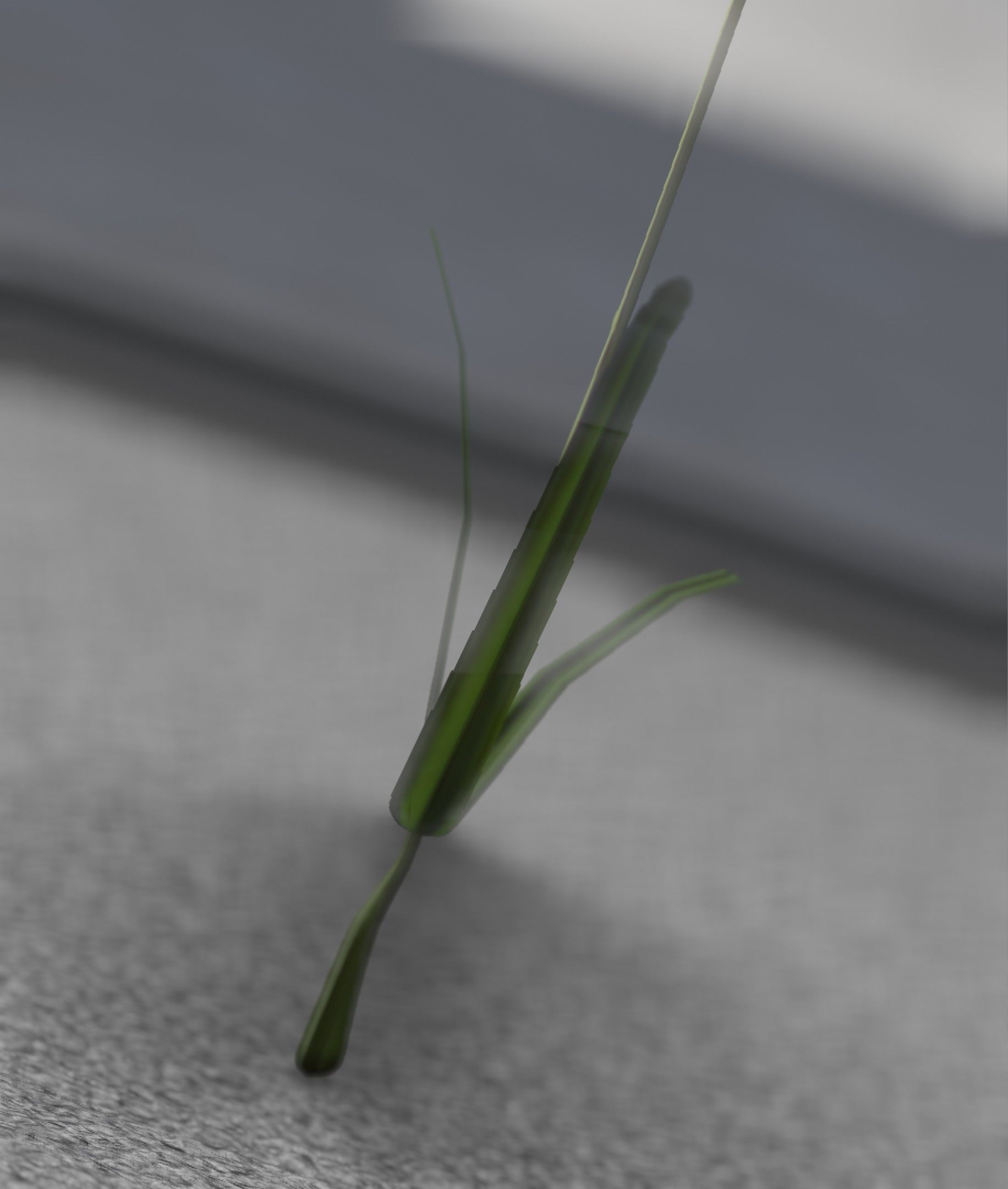 Red Flower - Verion 6 - Object 29 Low-poly 3D model_19