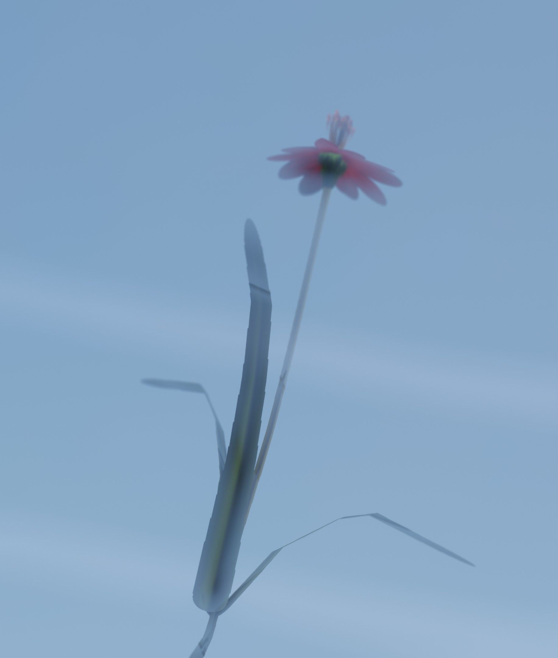 Red Flower - Verion 6 - Object 29 Low-poly 3D model_32