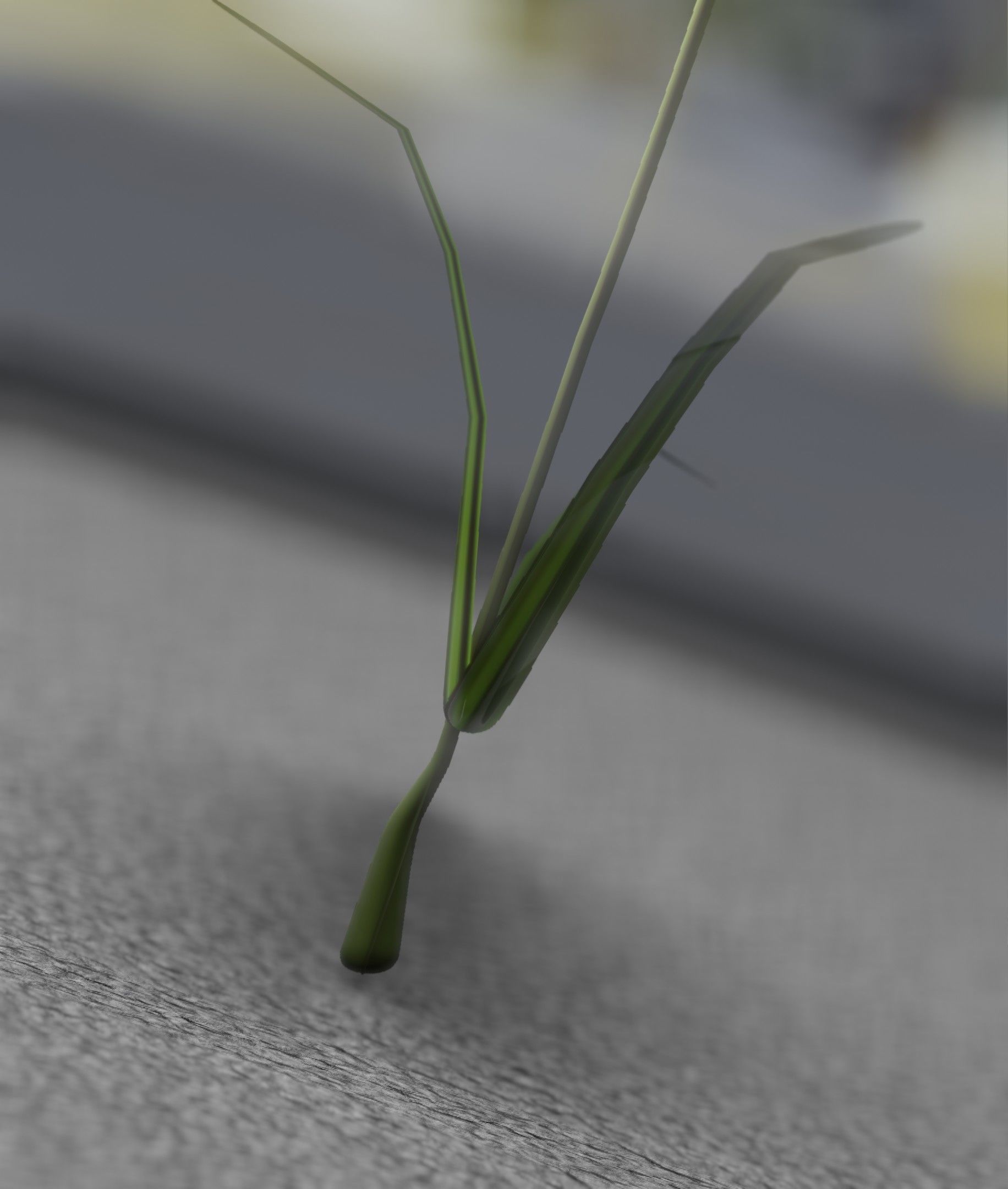 Red Flower - Verion 6 - Object 29 Low-poly 3D model_18