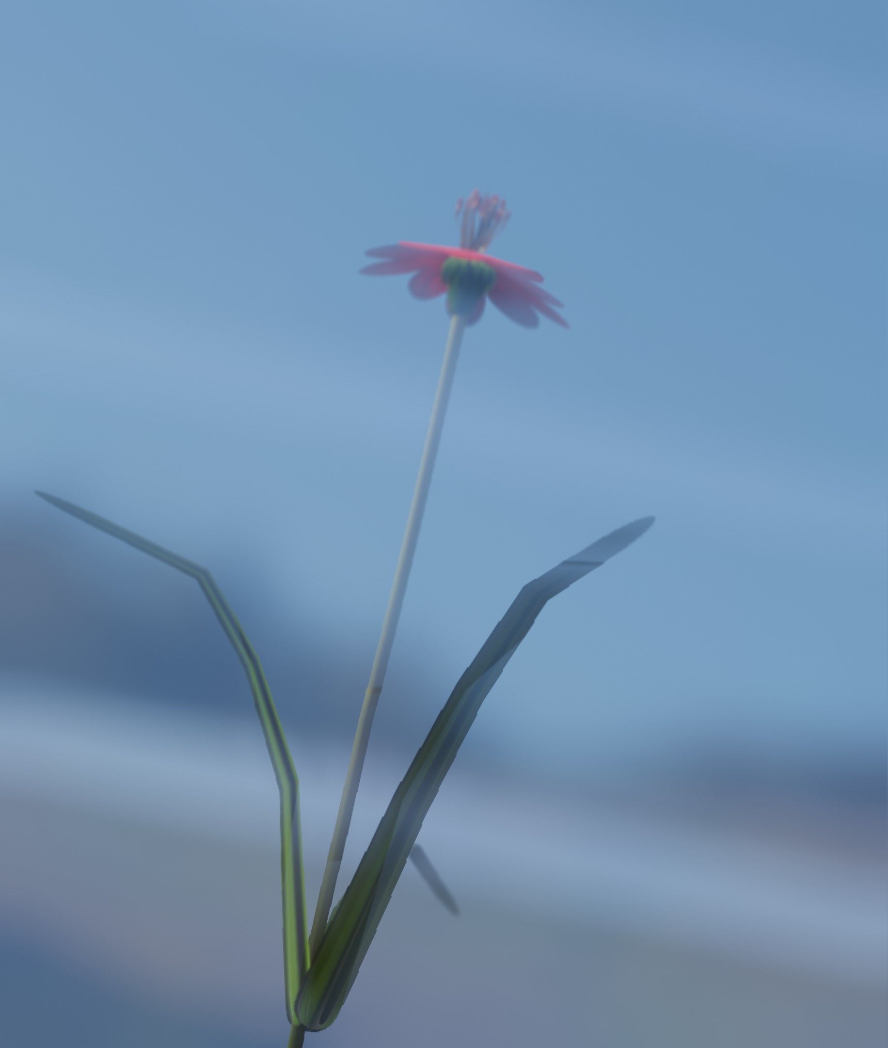 Red Flower - Verion 6 - Object 29 Low-poly 3D model_30