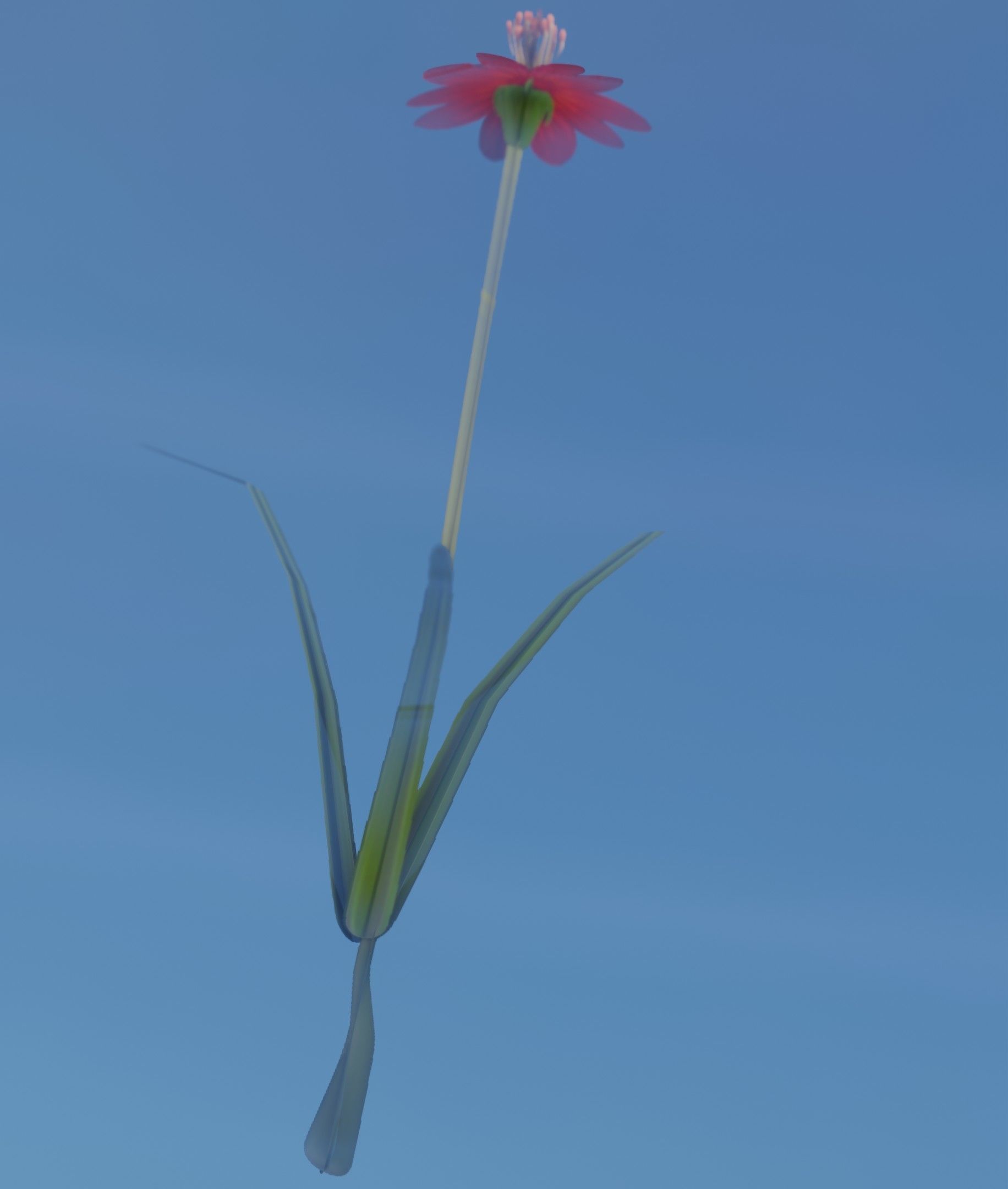Red Flower - Verion 6 - Object 29 Low-poly 3D model_37