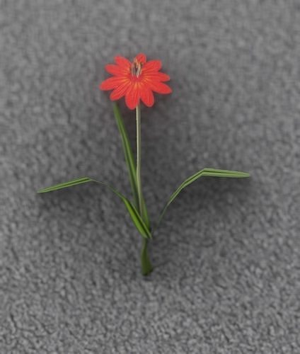 Red Flower - Verion 6 - Object 29 Low-poly 3D model