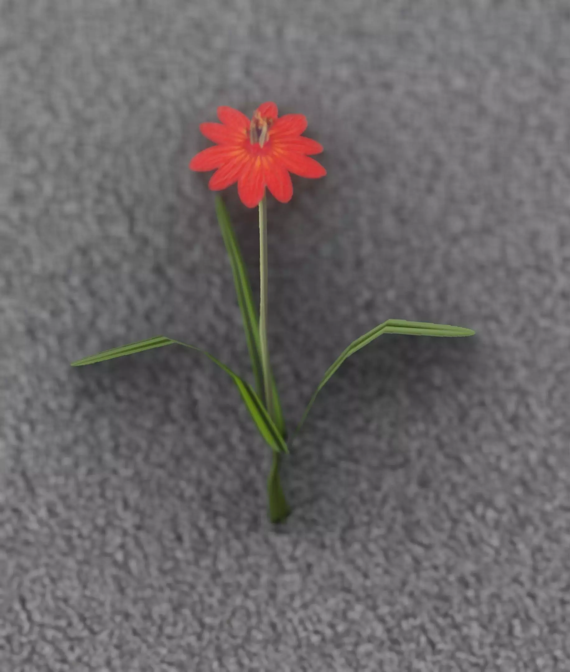 Red Flower - Verion 6 - Object 29 Low-poly 3D model_0