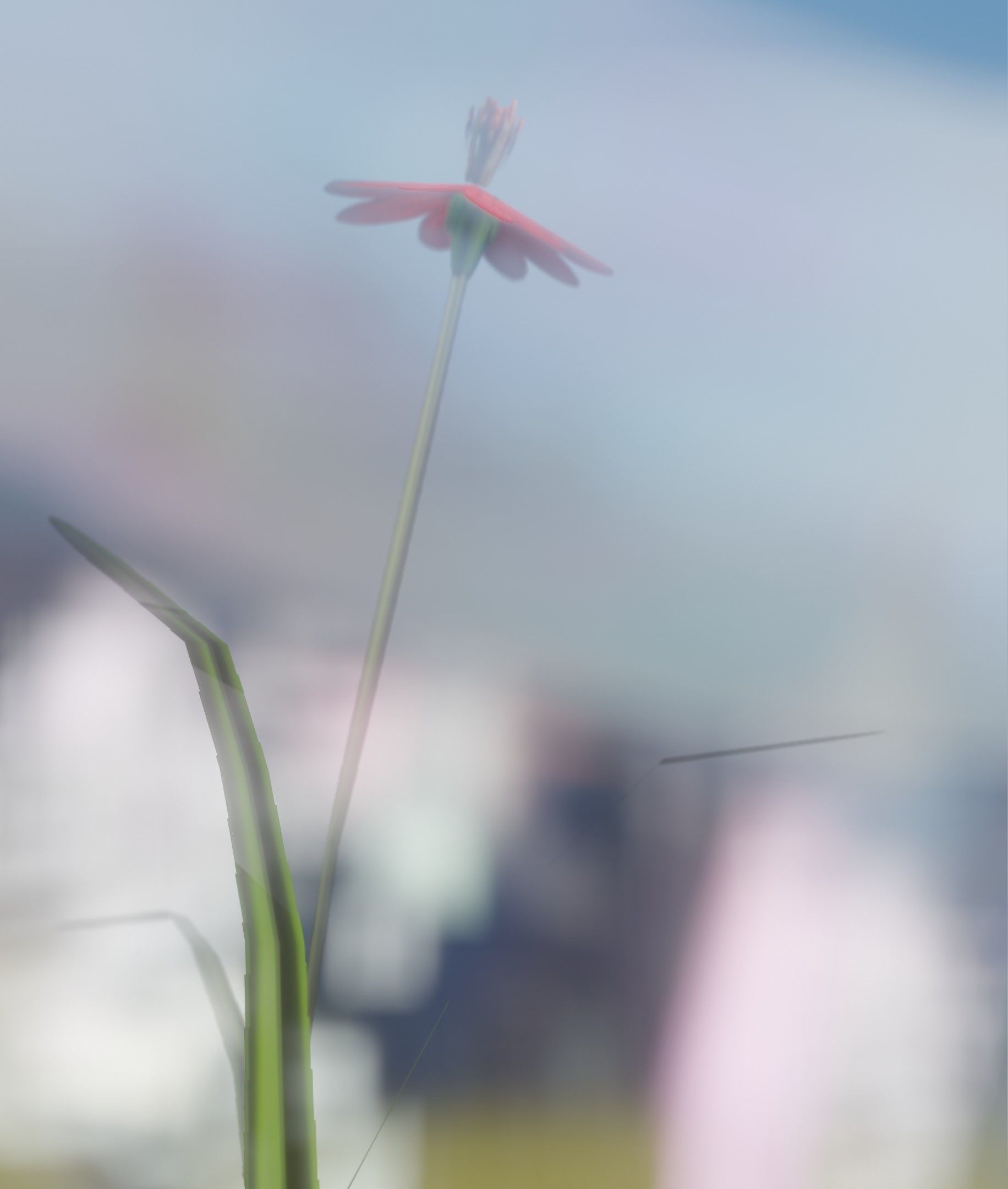 Red Flower - Verion 6 - Object 29 Low-poly 3D model_28