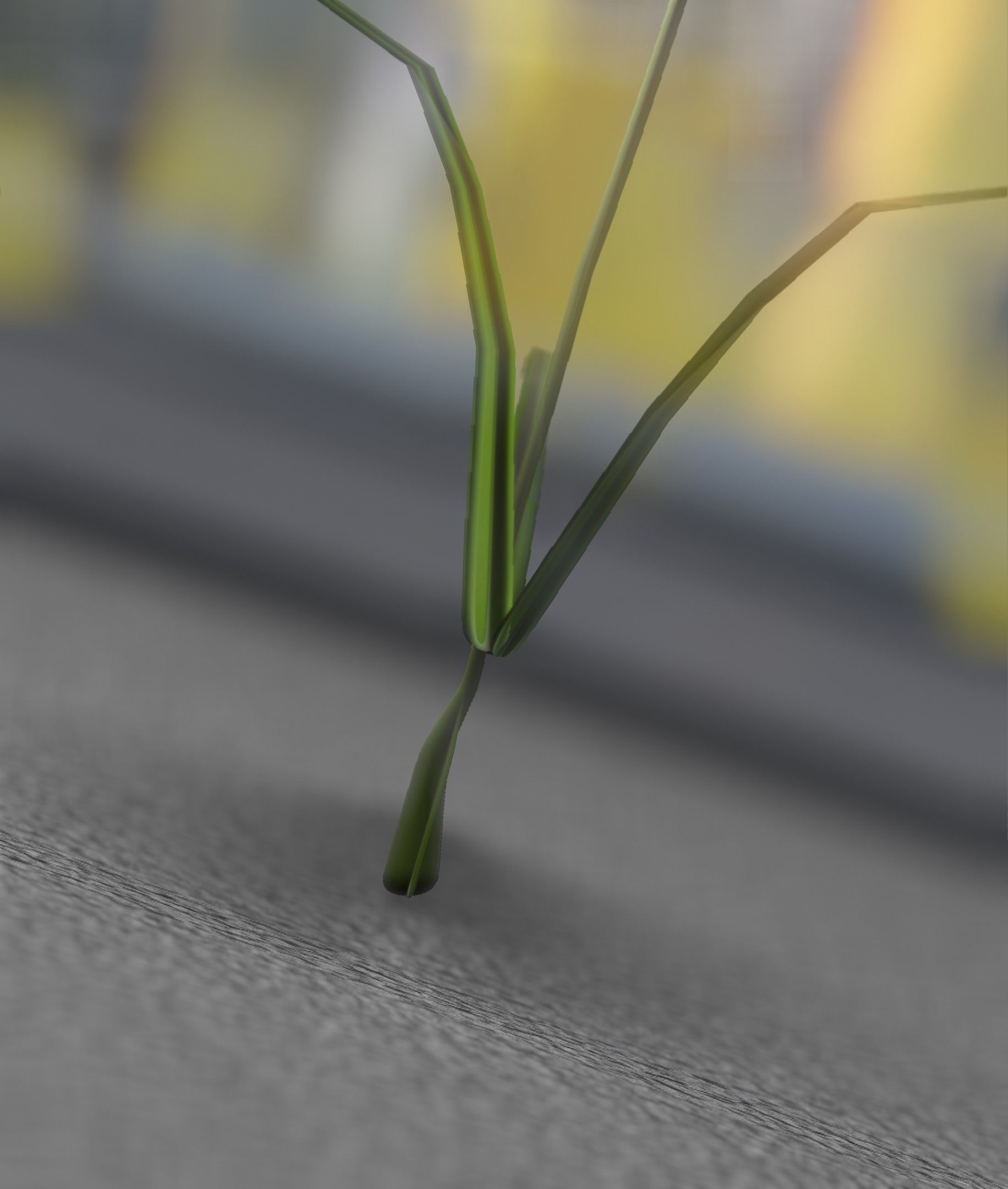 Red Flower - Verion 6 - Object 29 Low-poly 3D model_17