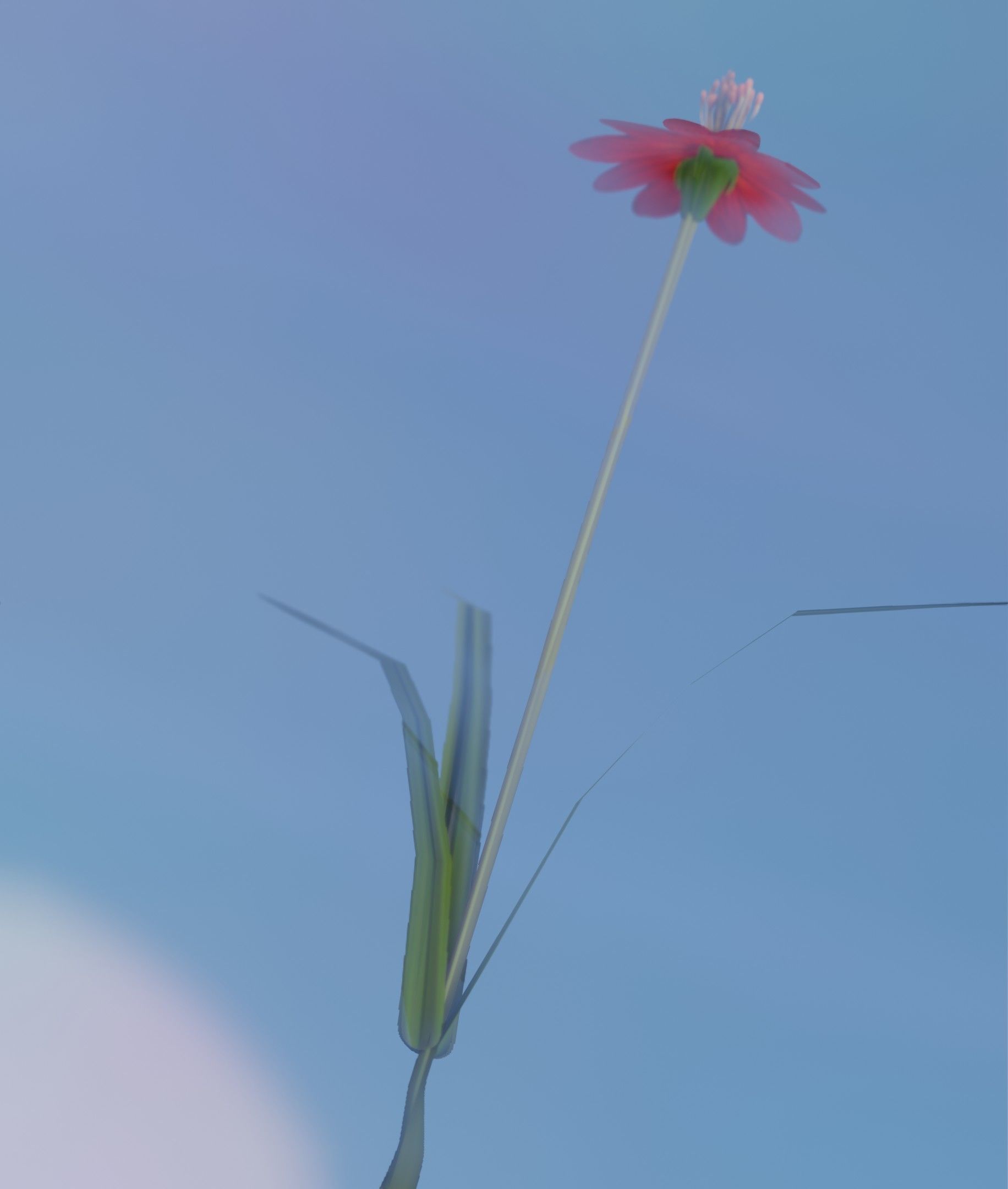 Red Flower - Verion 6 - Object 29 Low-poly 3D model_11