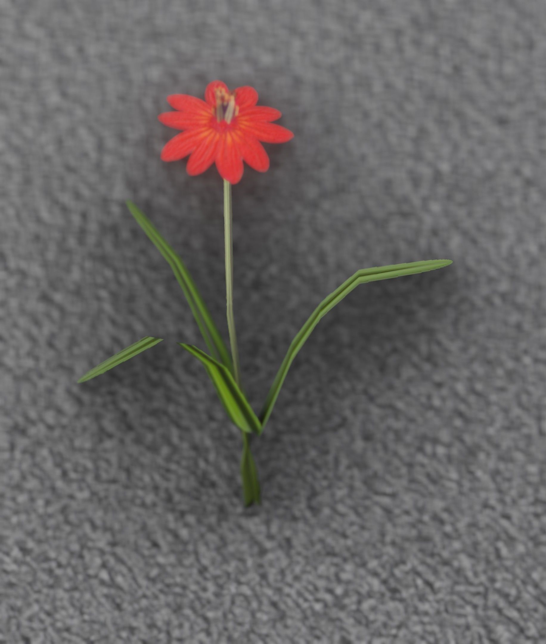 Red Flower - Verion 6 - Object 29 Low-poly 3D model_45
