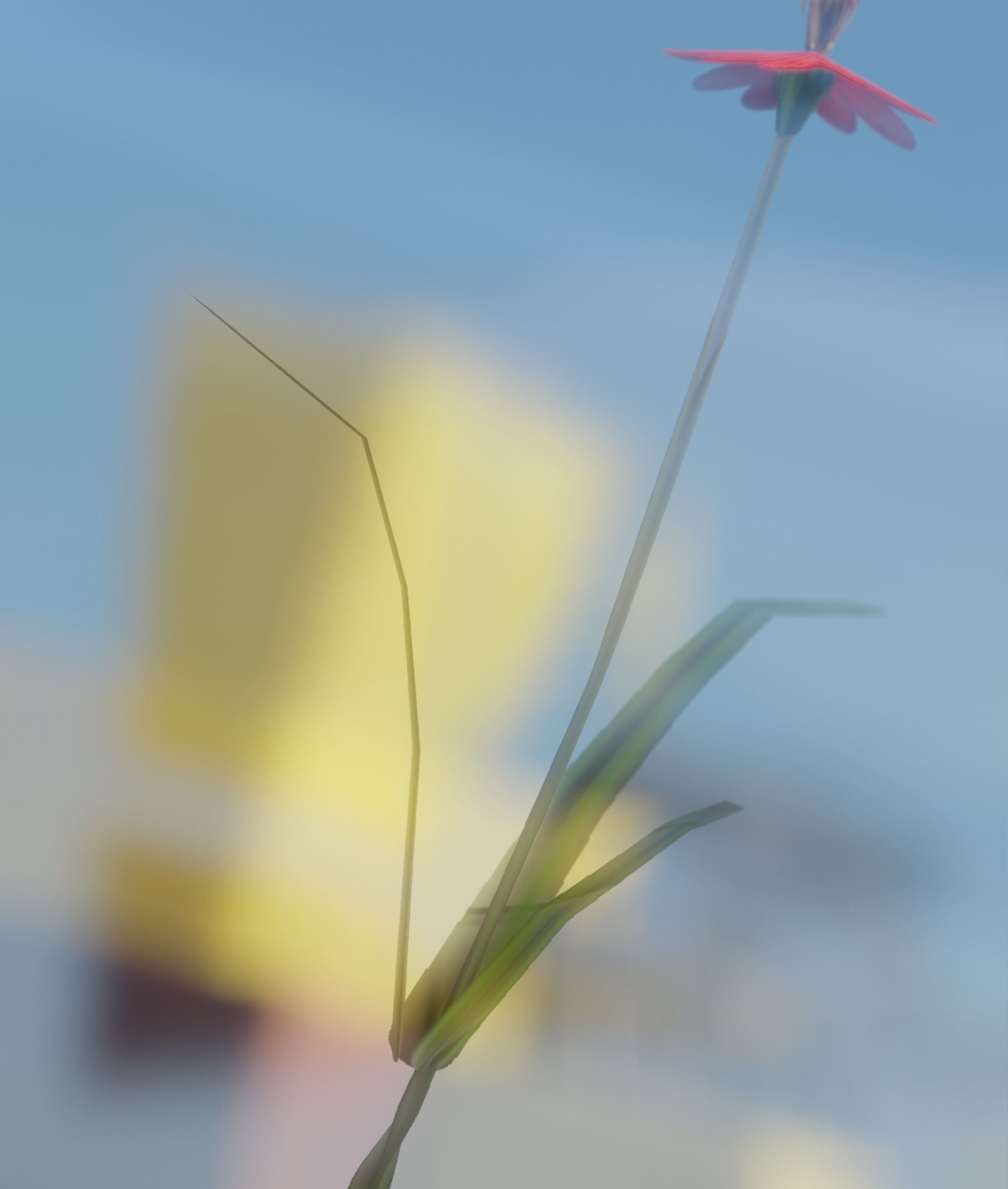 Red Flower - Verion 6 - Object 29 Low-poly 3D model_8