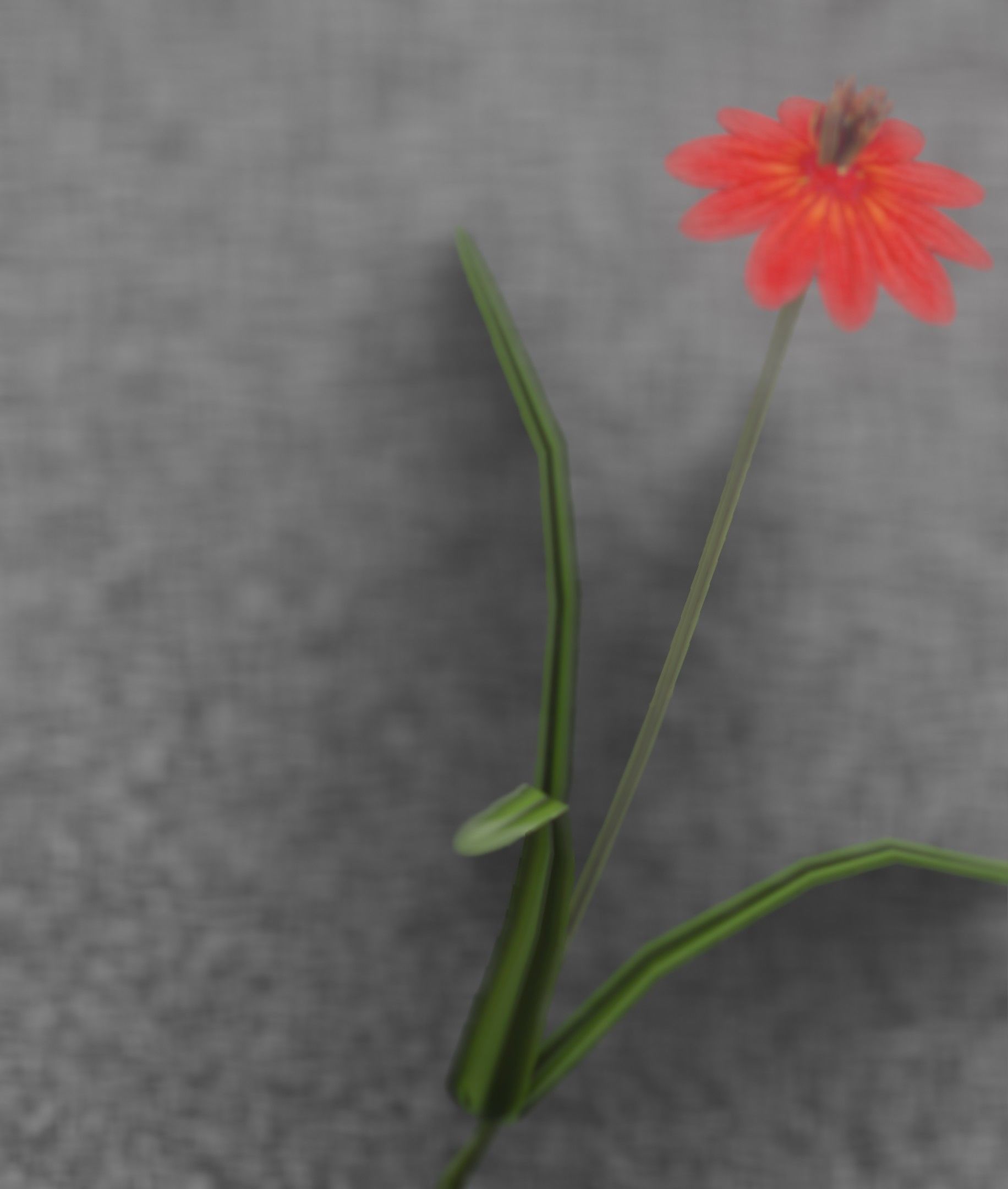 Red Flower - Verion 6 - Object 29 Low-poly 3D model_5
