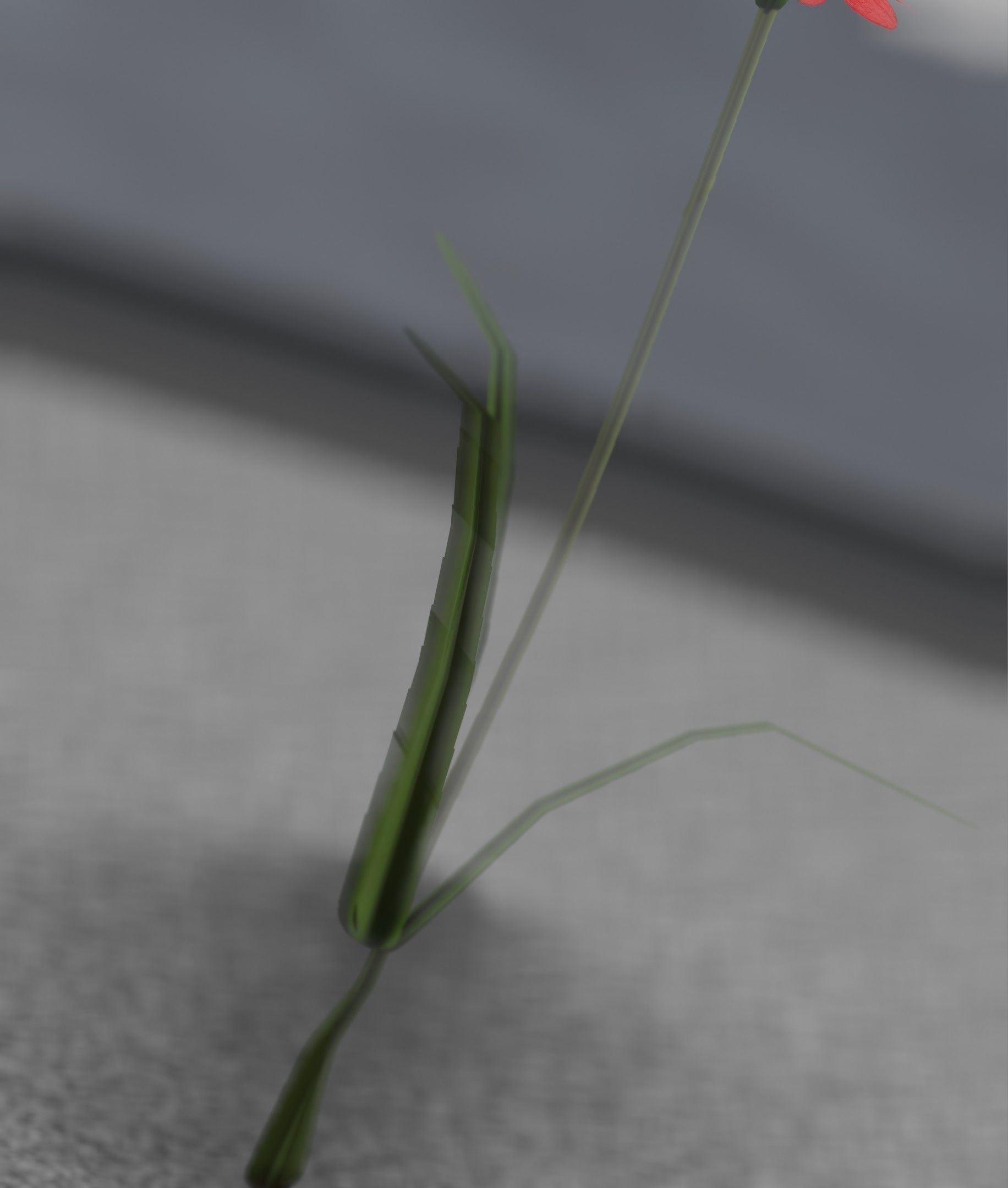 Red Flower - Verion 6 - Object 29 Low-poly 3D model_20