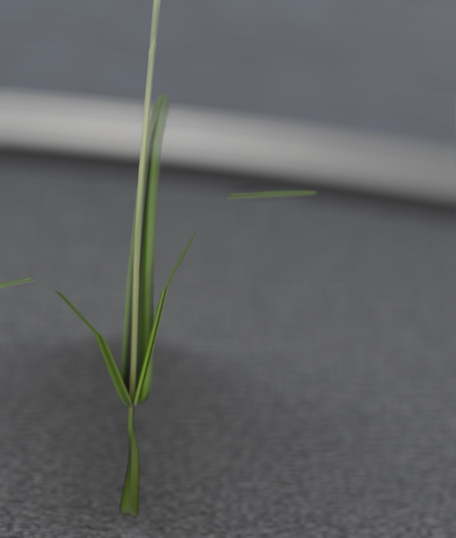 Red Flower - Verion 6 - Object 29 Low-poly 3D model_40