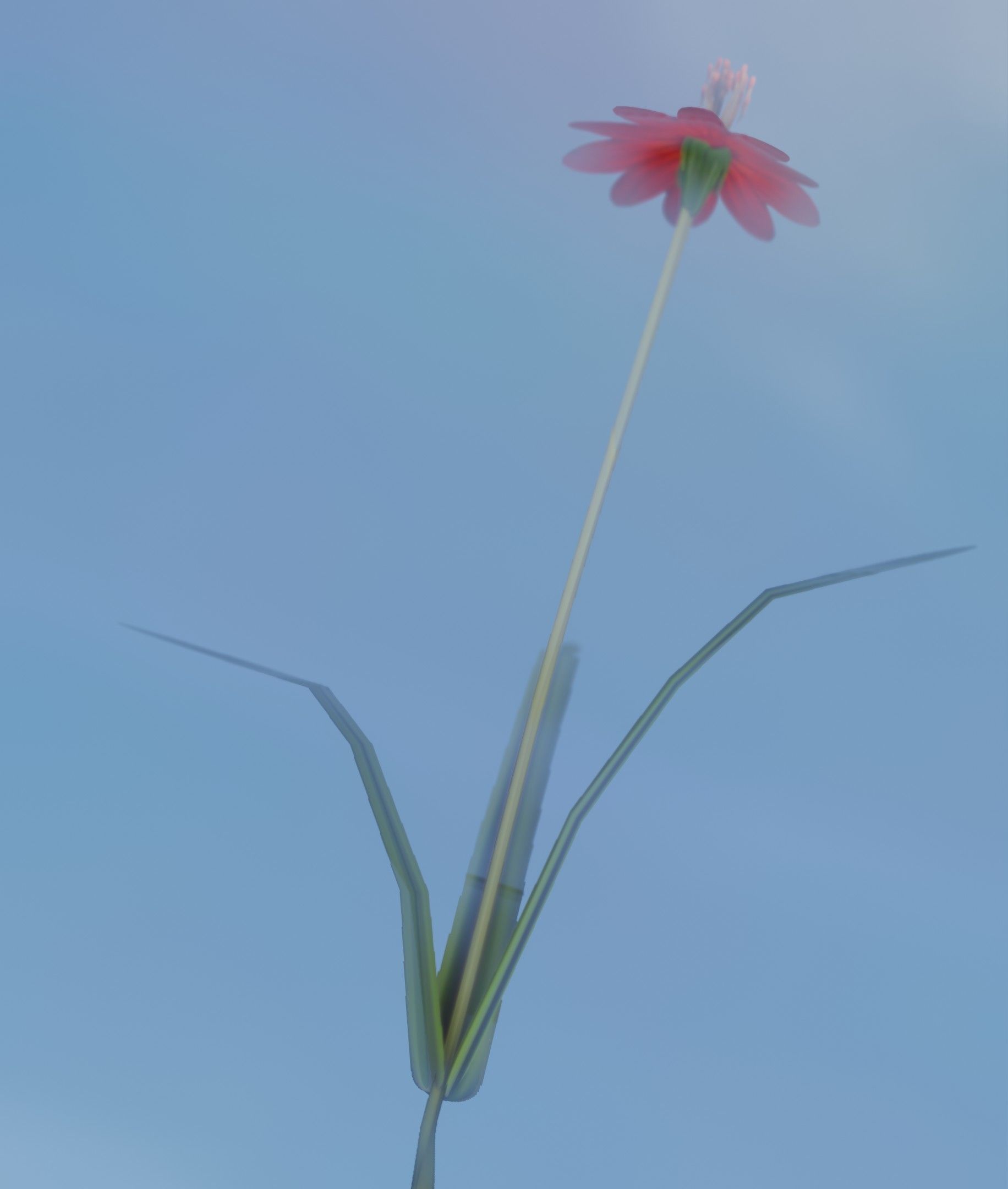 Red Flower - Verion 6 - Object 29 Low-poly 3D model_12