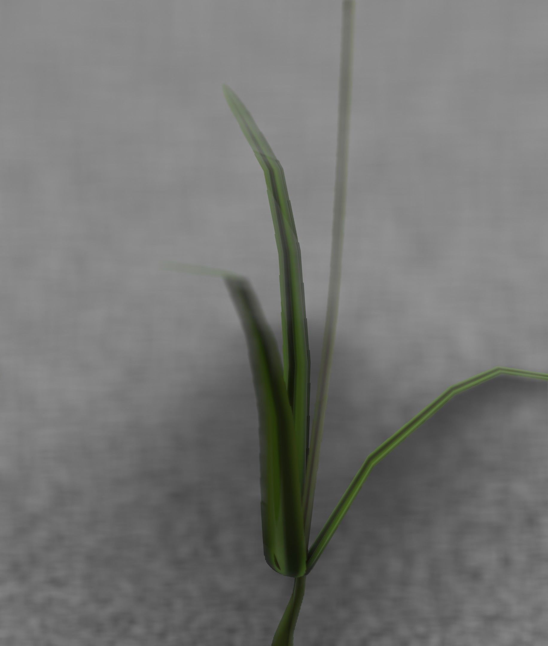 Red Flower - Verion 6 - Object 29 Low-poly 3D model_50