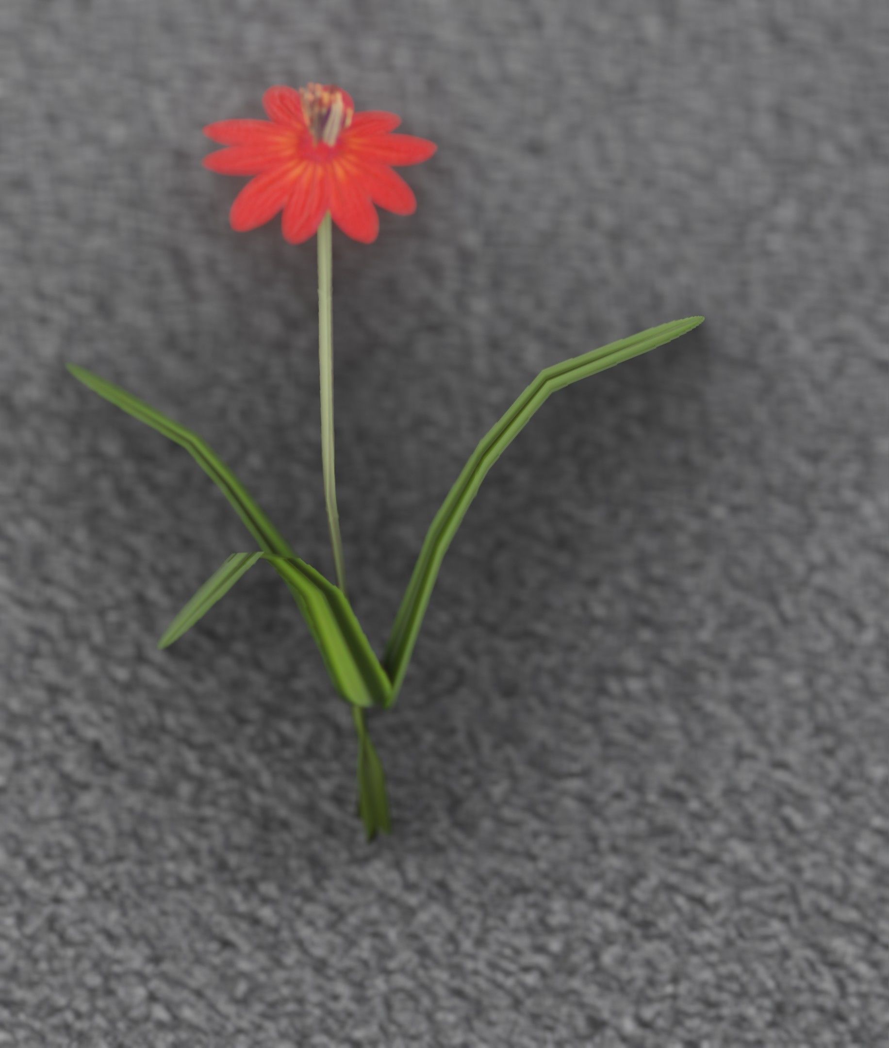 Red Flower - Verion 6 - Object 29 Low-poly 3D model_44