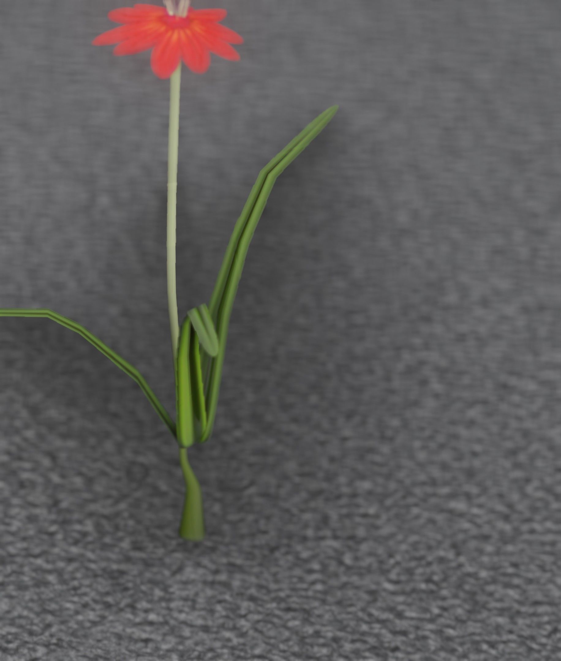 Red Flower - Verion 6 - Object 29 Low-poly 3D model_42