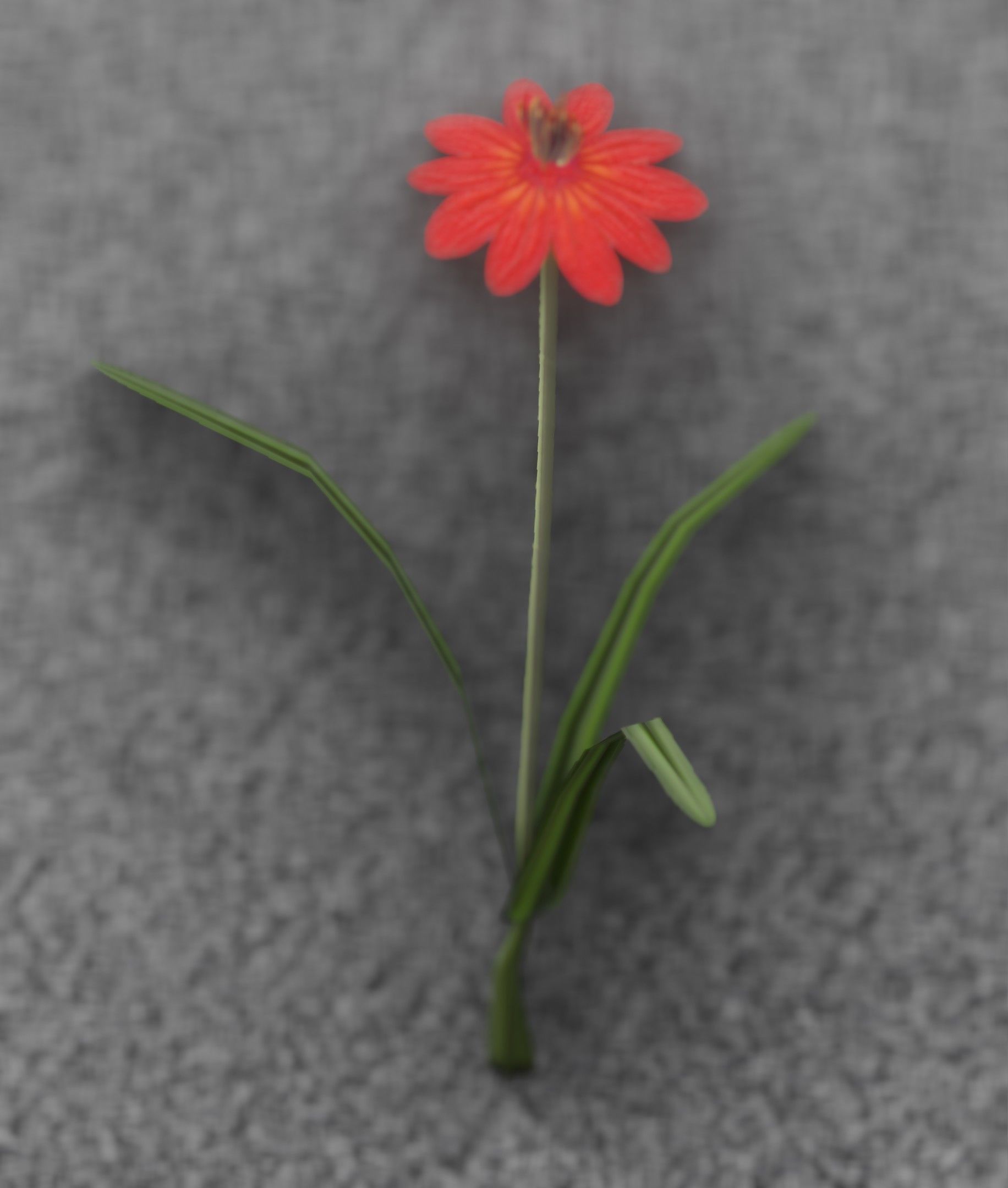 Red Flower - Verion 6 - Object 29 Low-poly 3D model_47