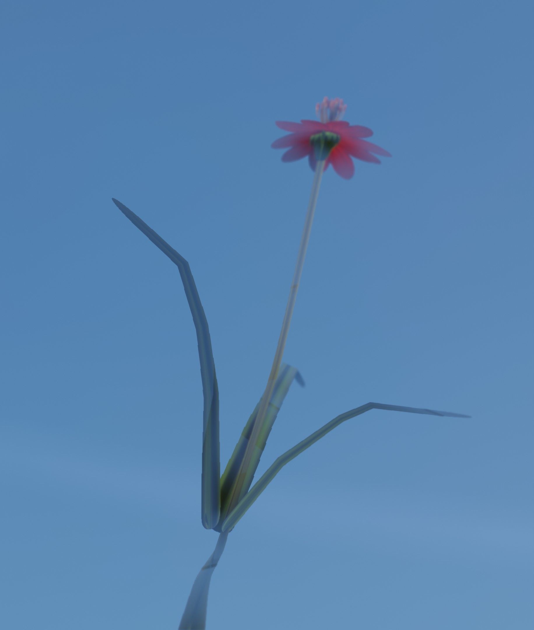 Red Flower - Verion 6 - Object 29 Low-poly 3D model_34