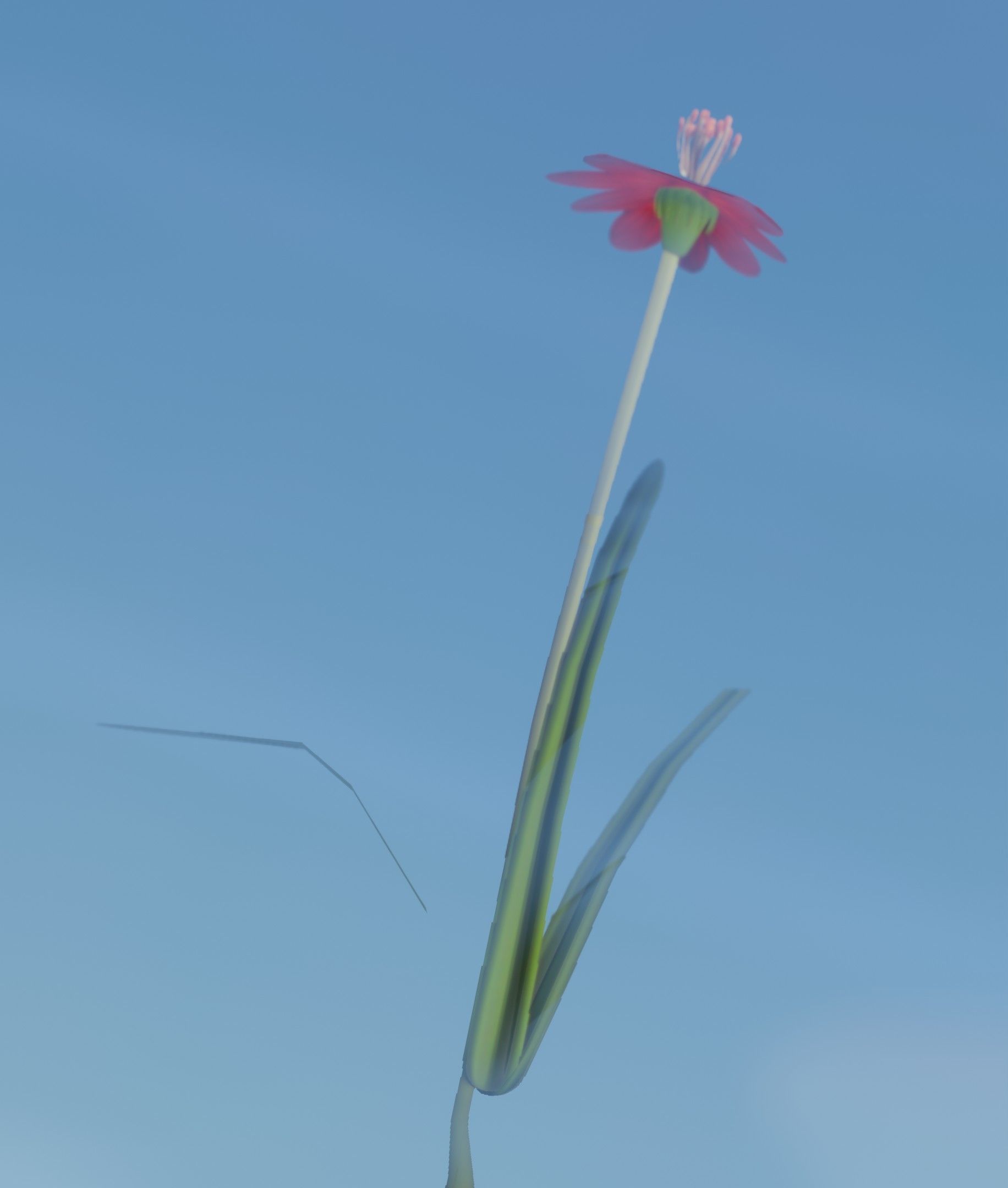 Red Flower - Verion 6 - Object 29 Low-poly 3D model_14